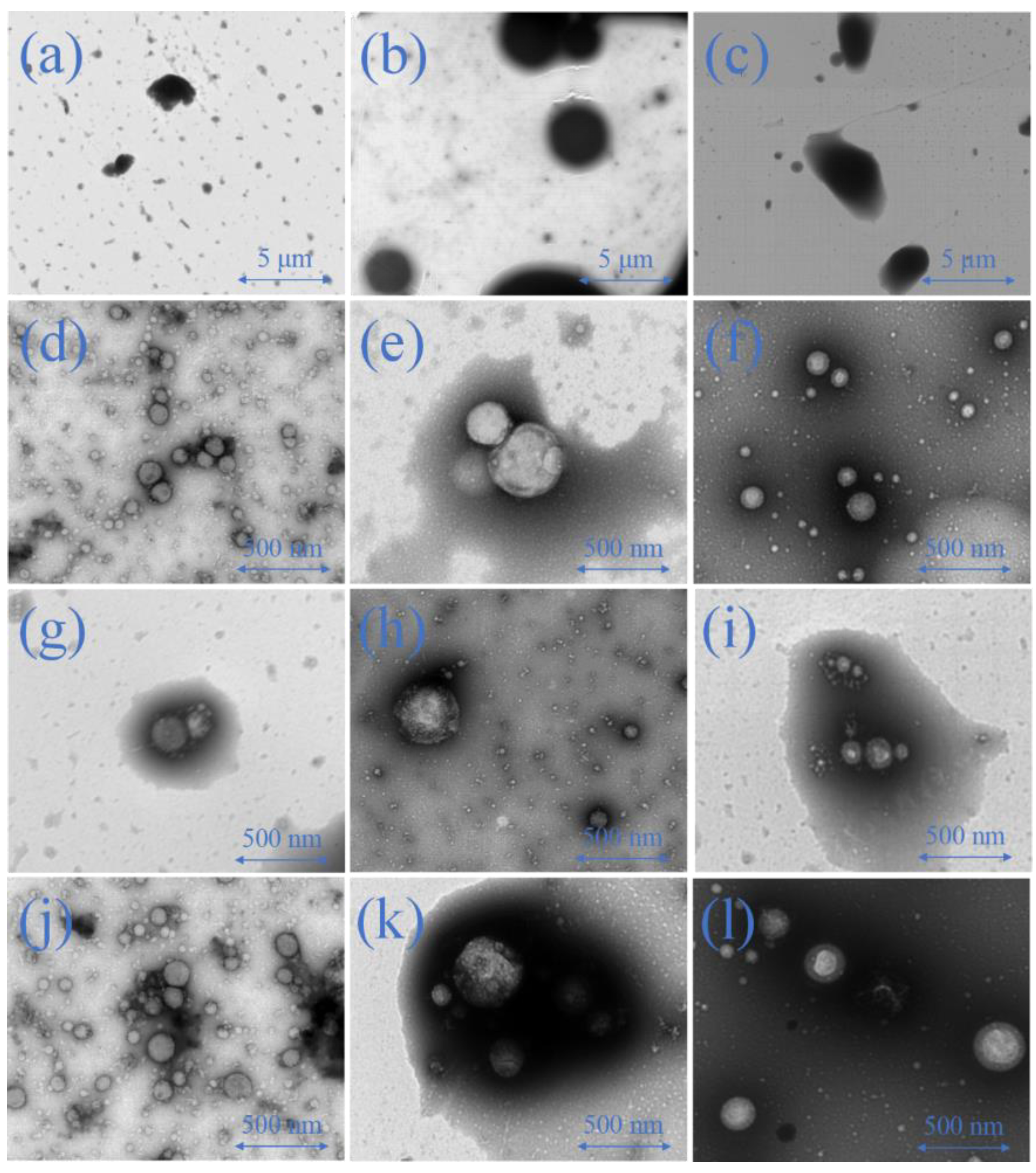 Molecules 28 03078 g007