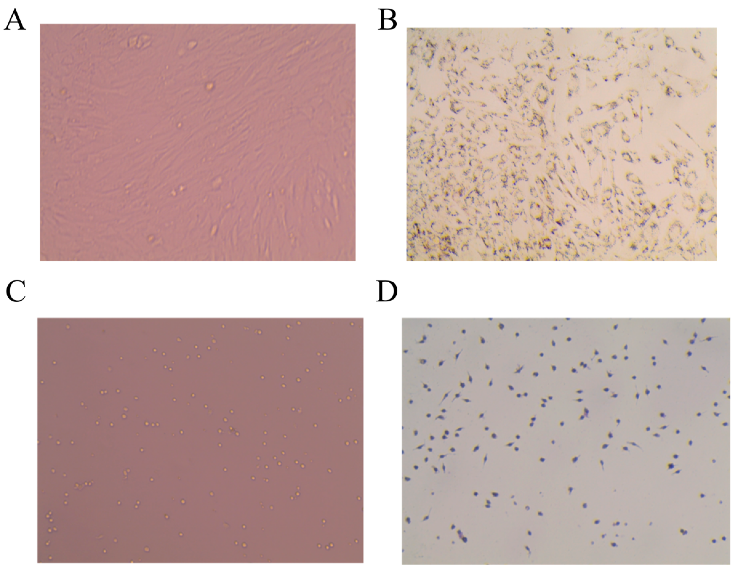 Molecules 28 03083 g002