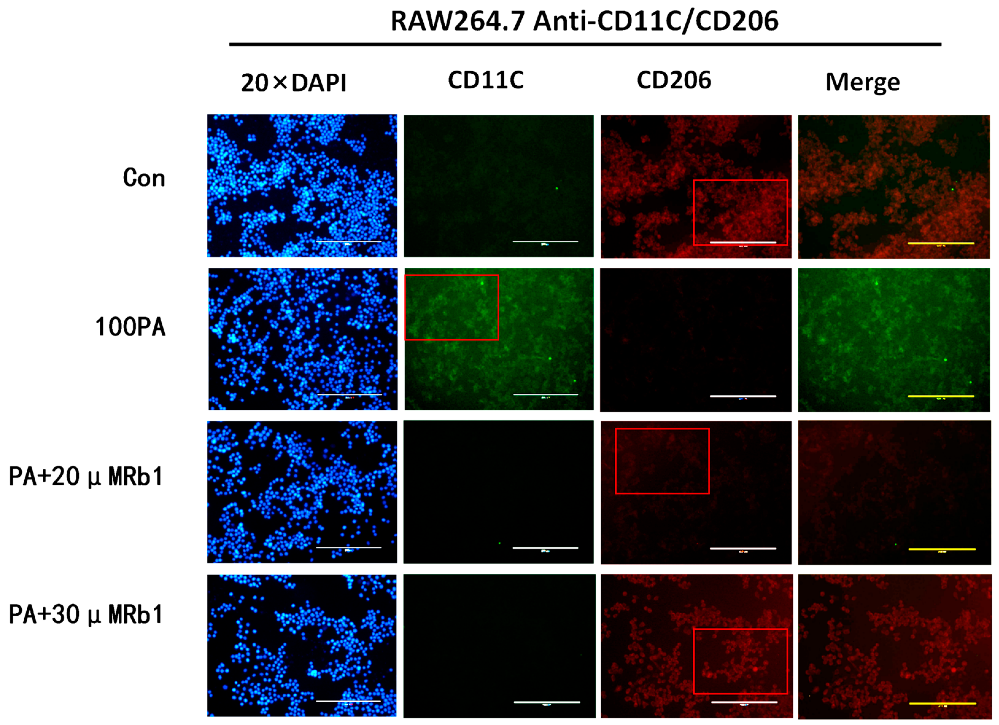 Molecules 28 03083 g006