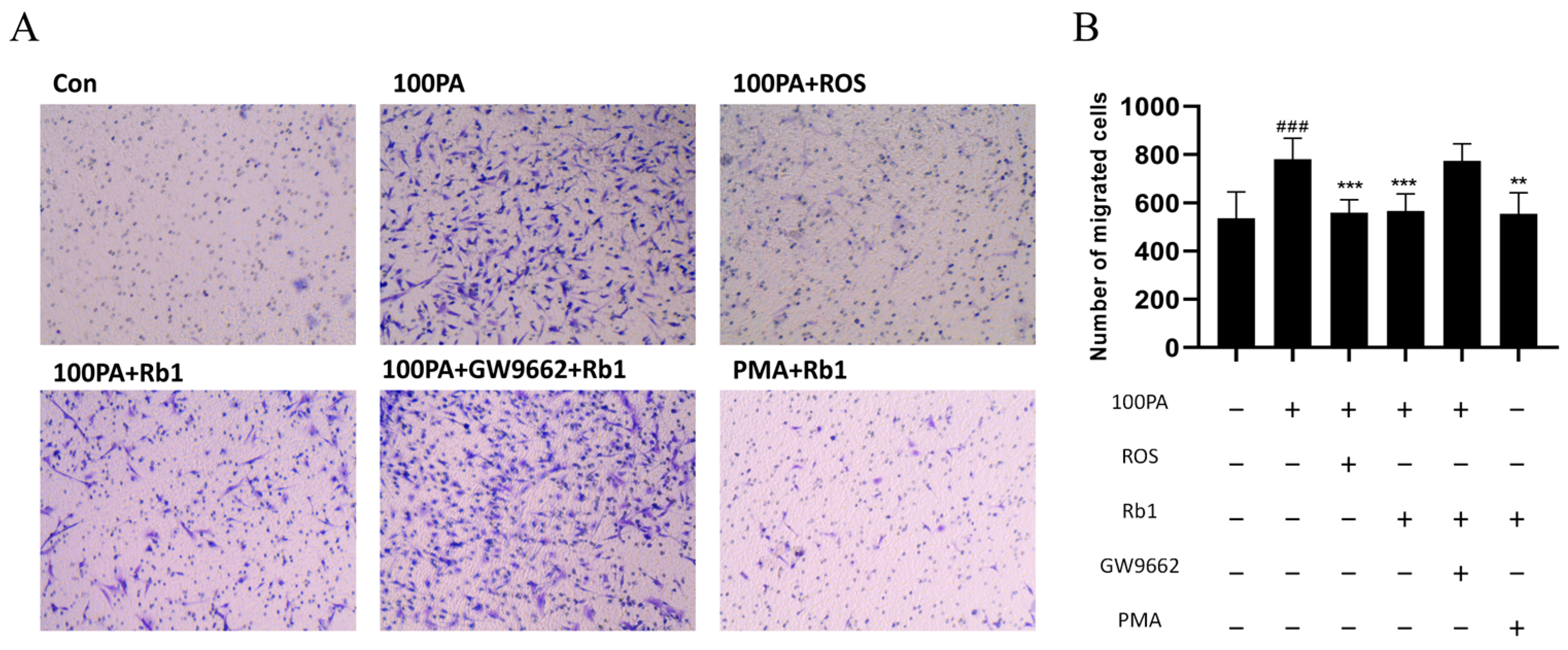 Molecules 28 03083 g007