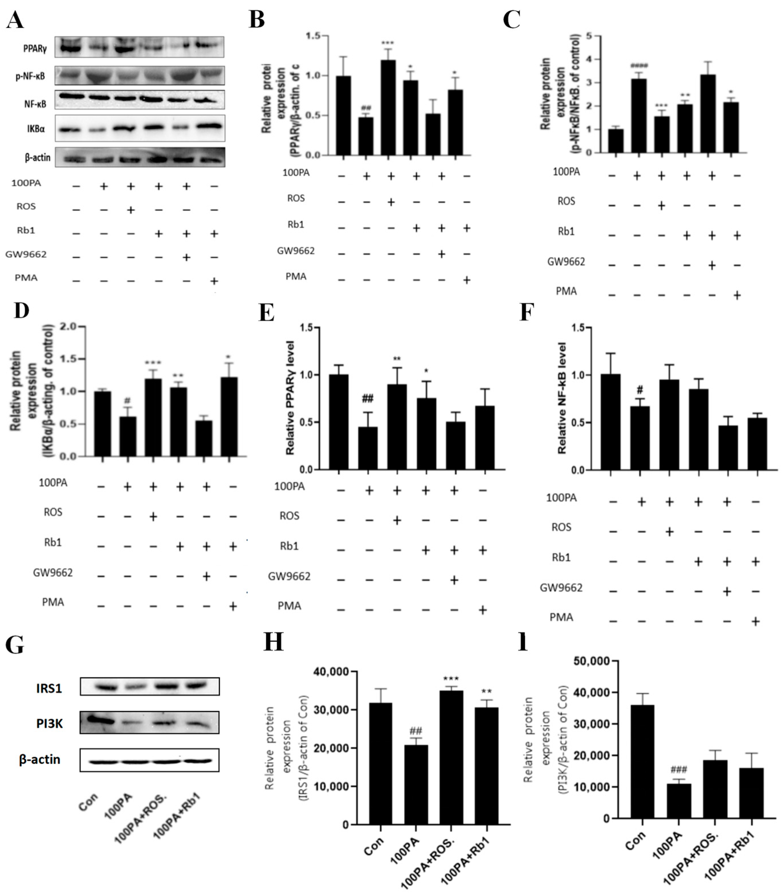 Molecules 28 03083 g008
