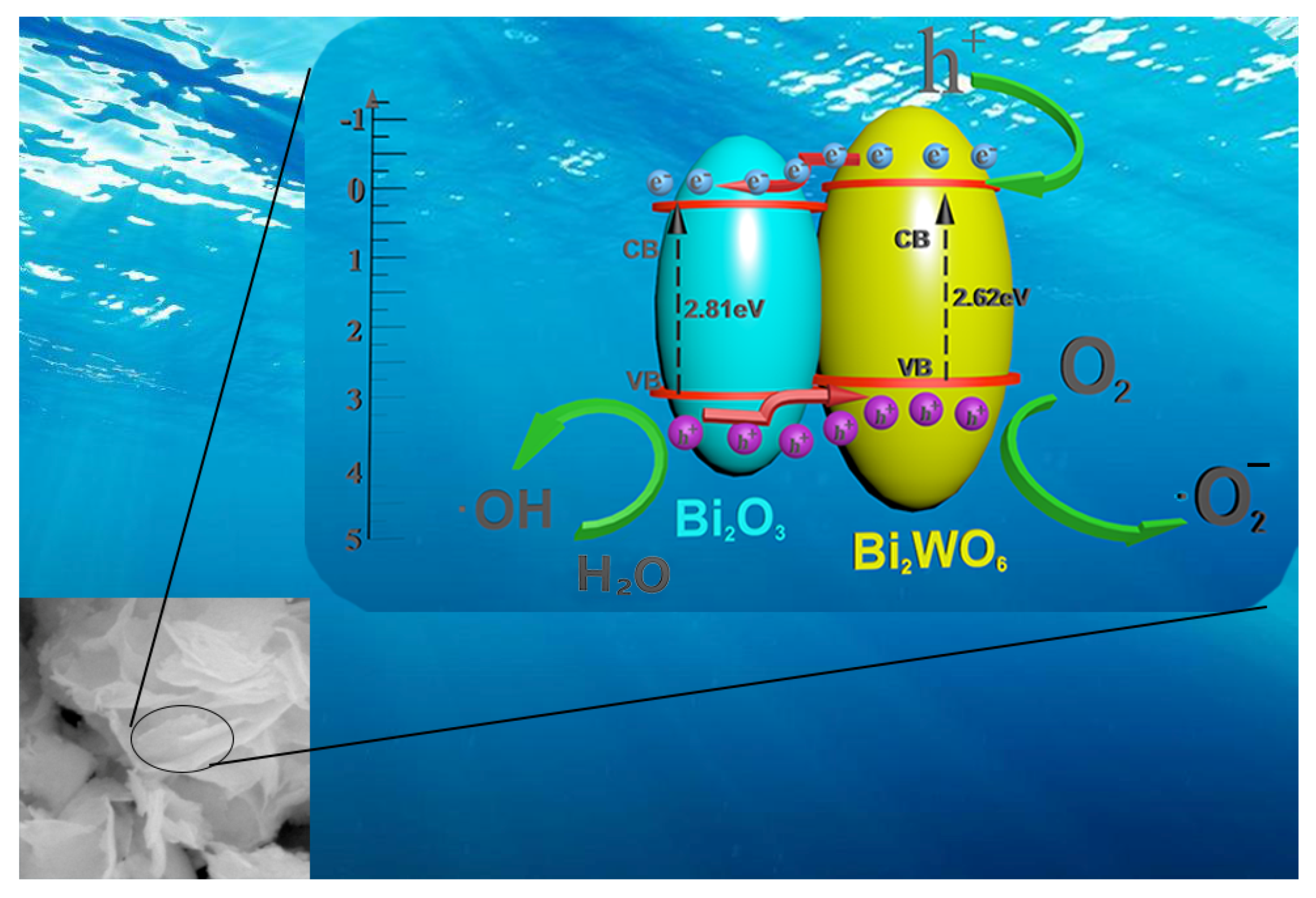 Molecules 28 03123 g010 Molecules 28 03123 g010
