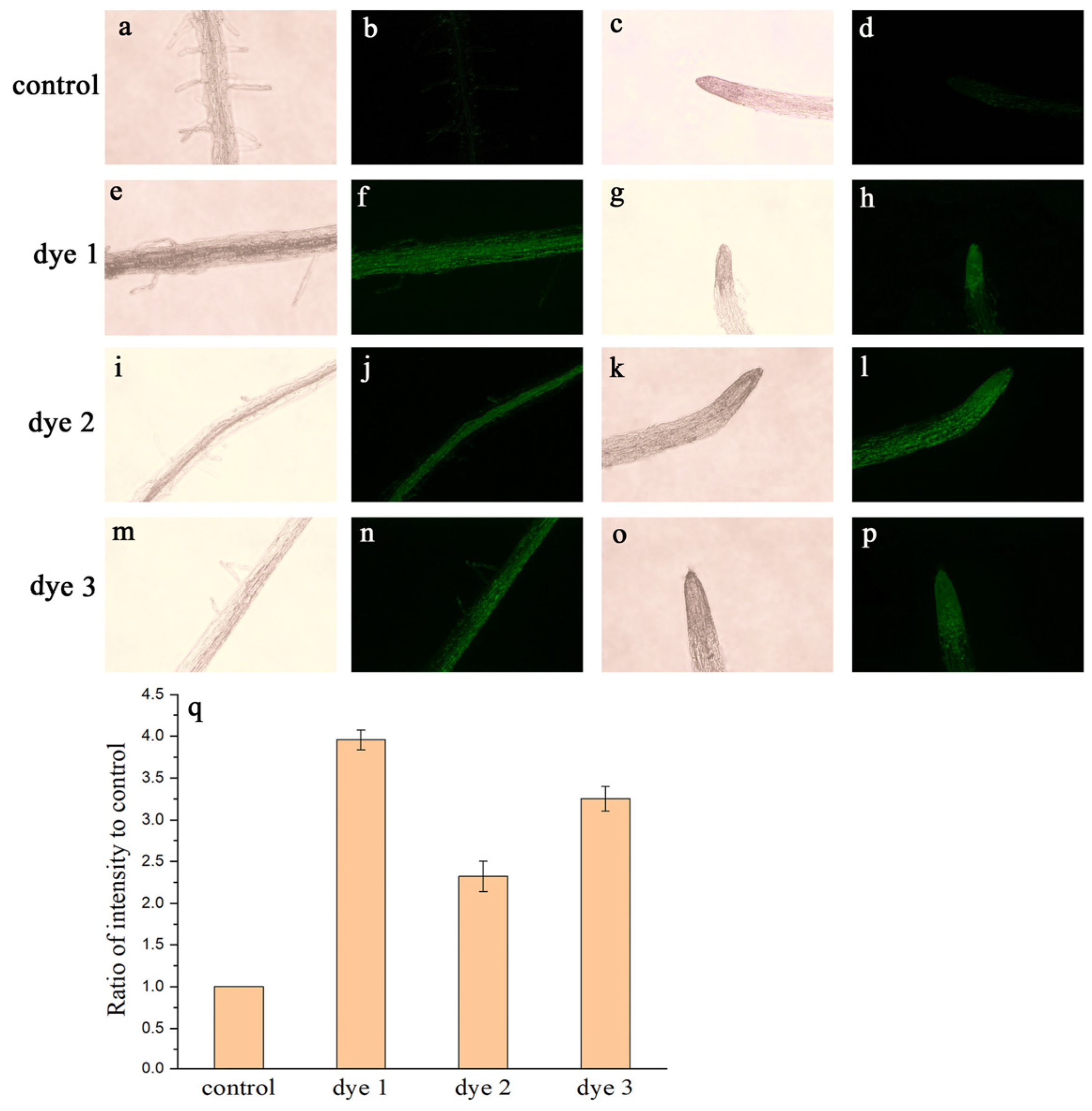 Molecules 28 03126 g004