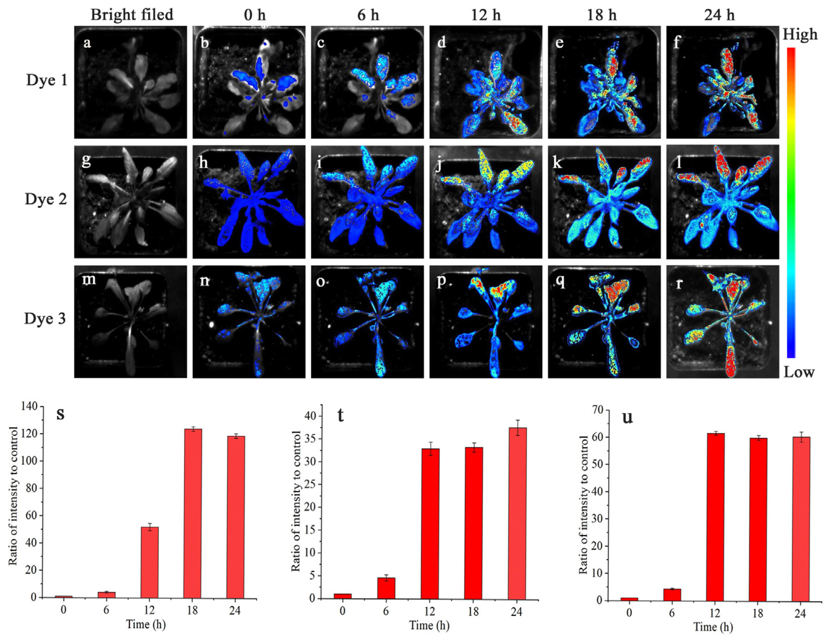 Molecules 28 03126 g005