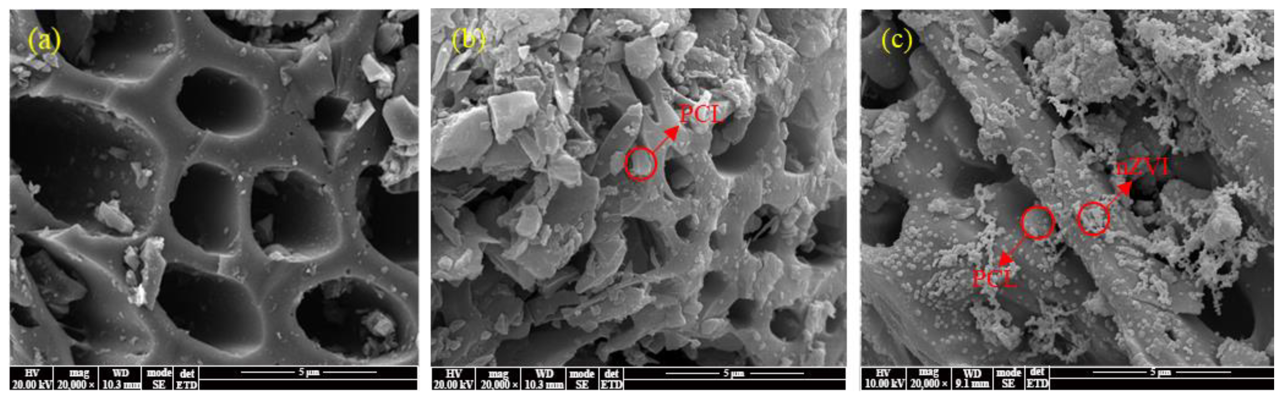 Molecules 28 03145 g001