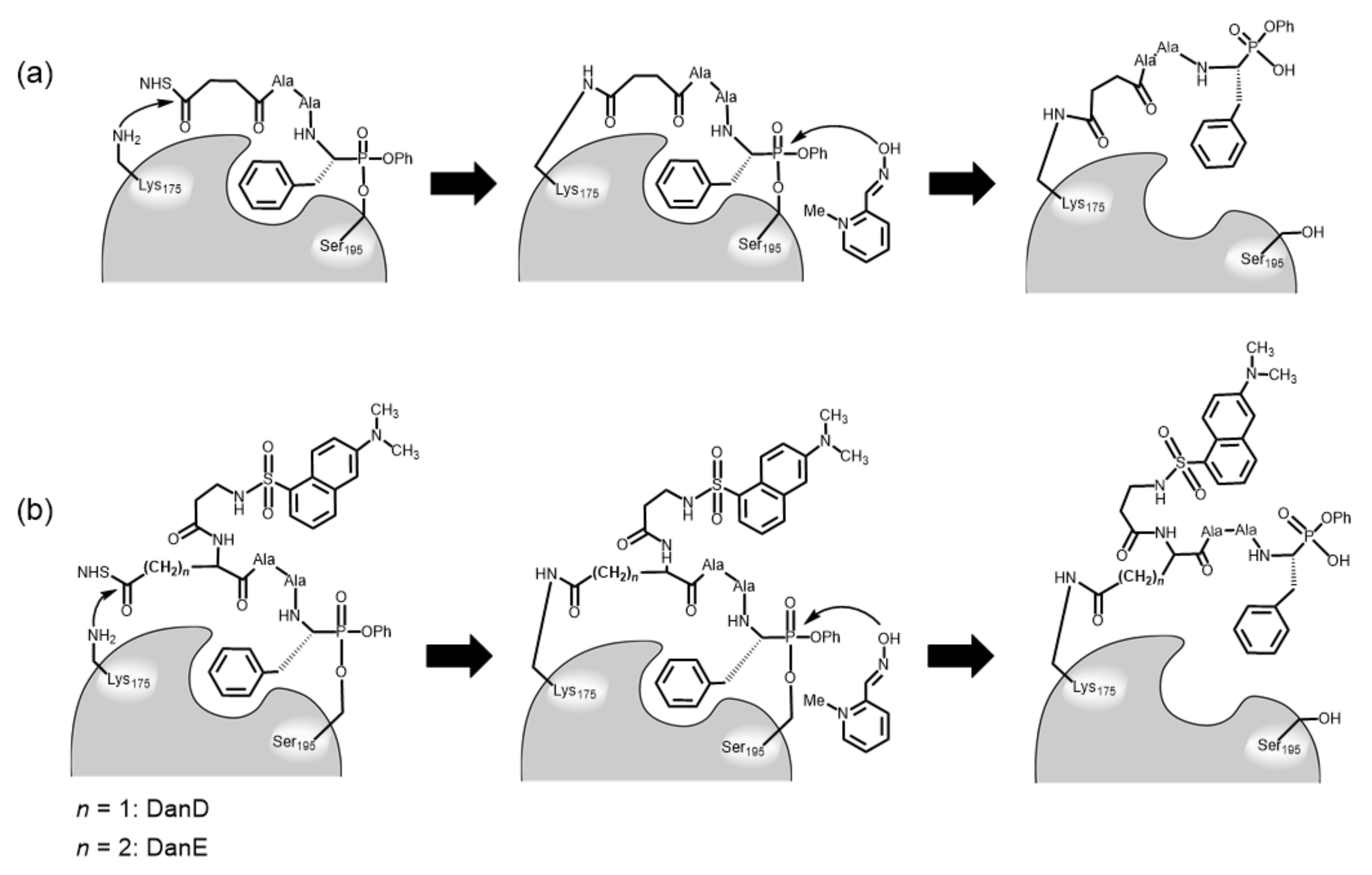 Molecules 28 03150 g001