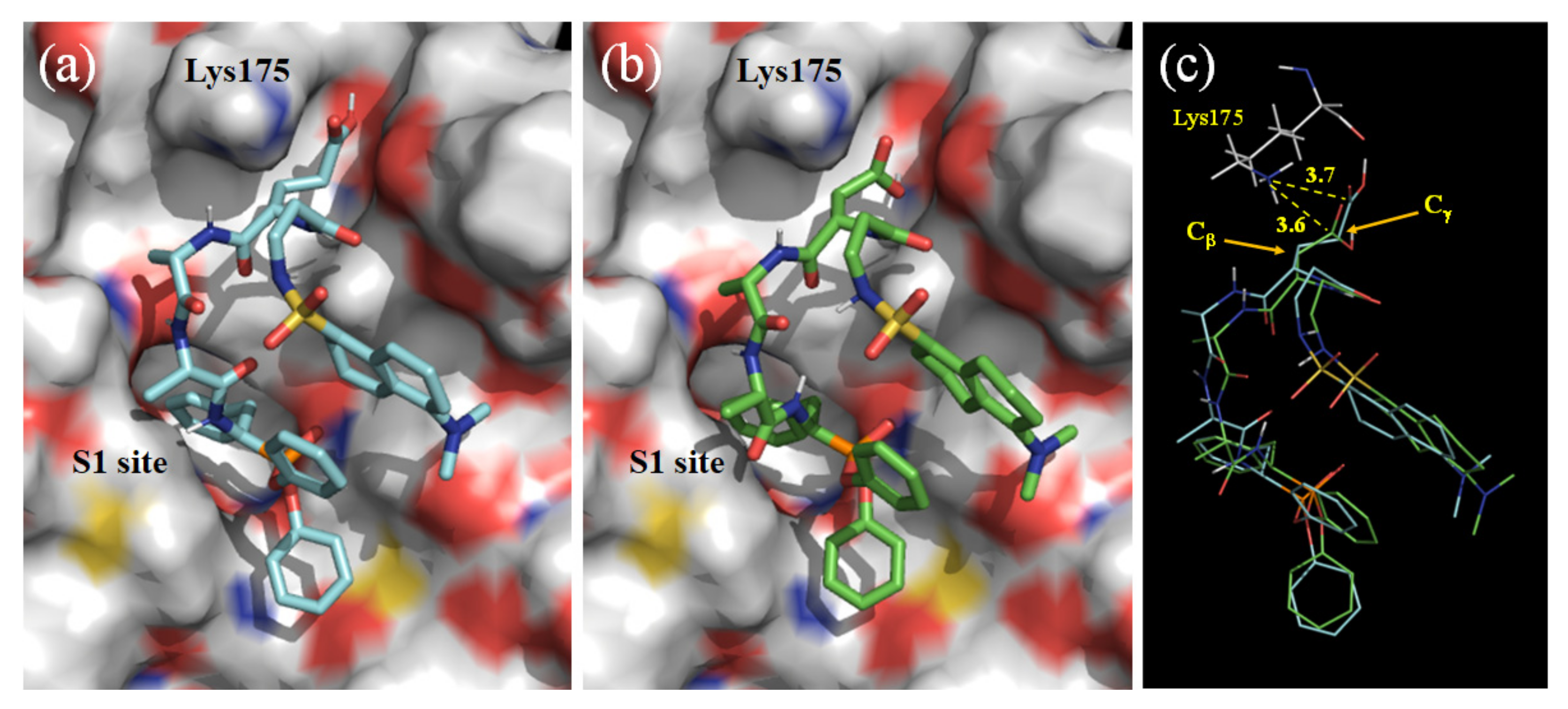Molecules 28 03150 g002