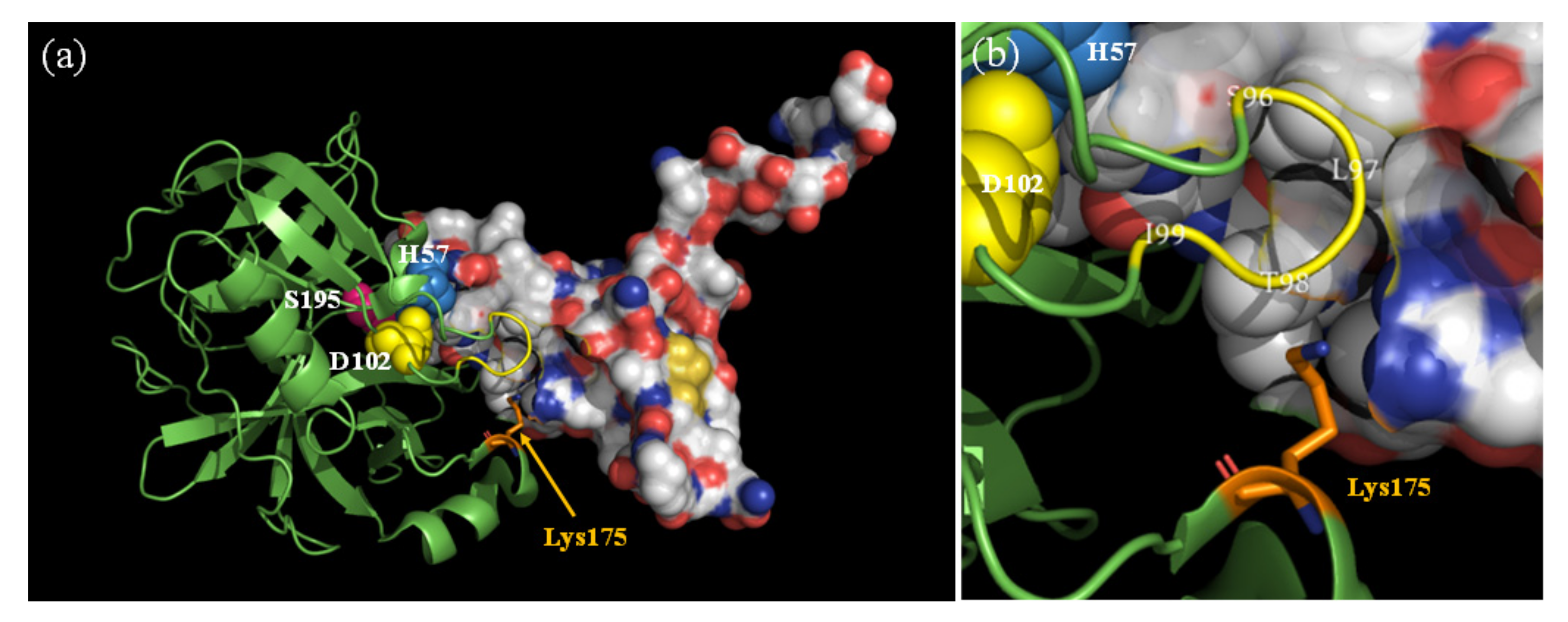 Molecules 28 03150 g010