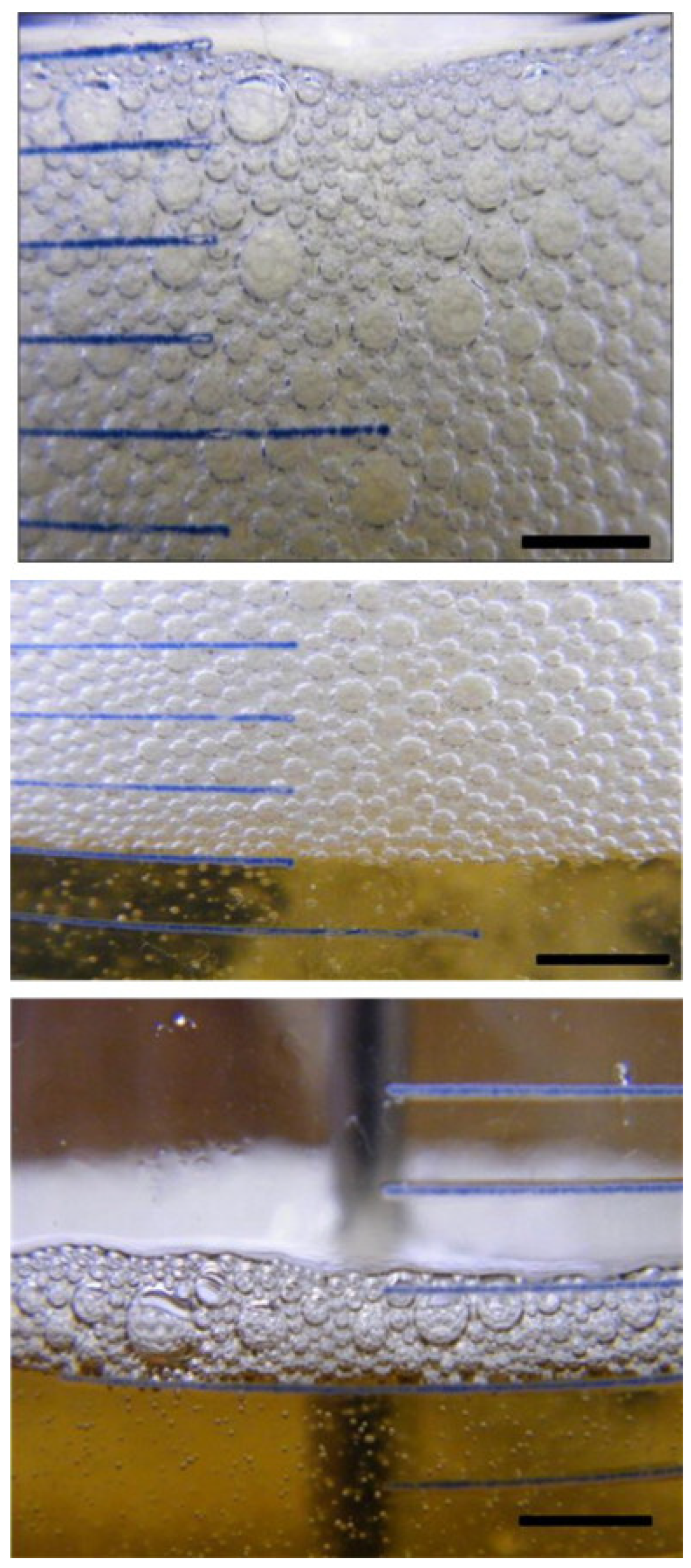 Molecules 28 03152 g001