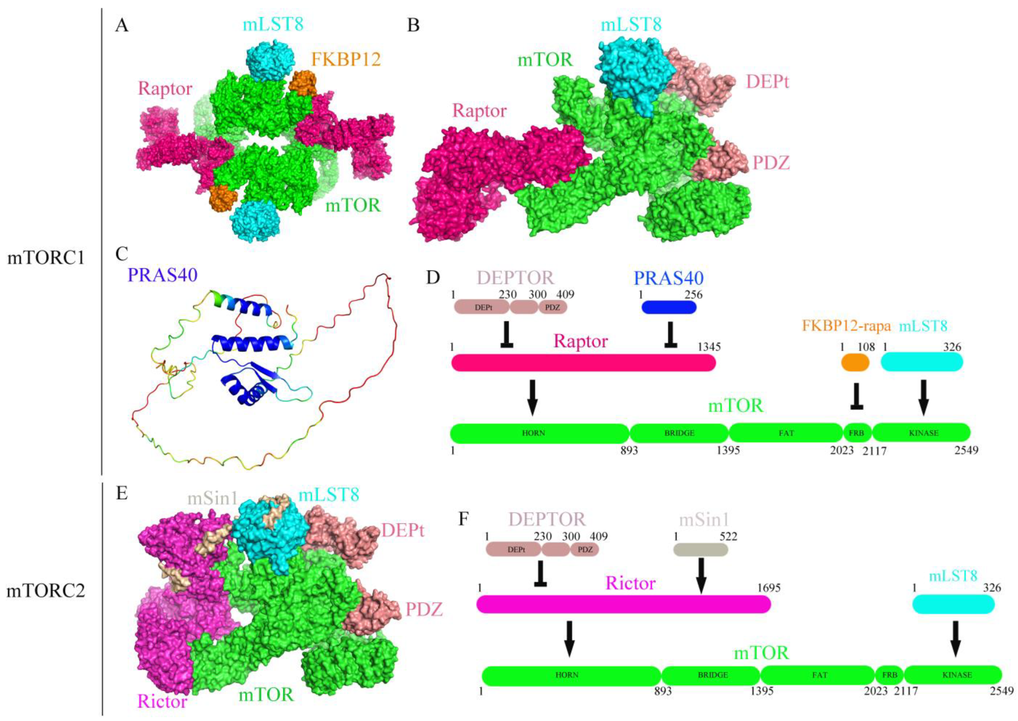 Molecules, Free Full-Text