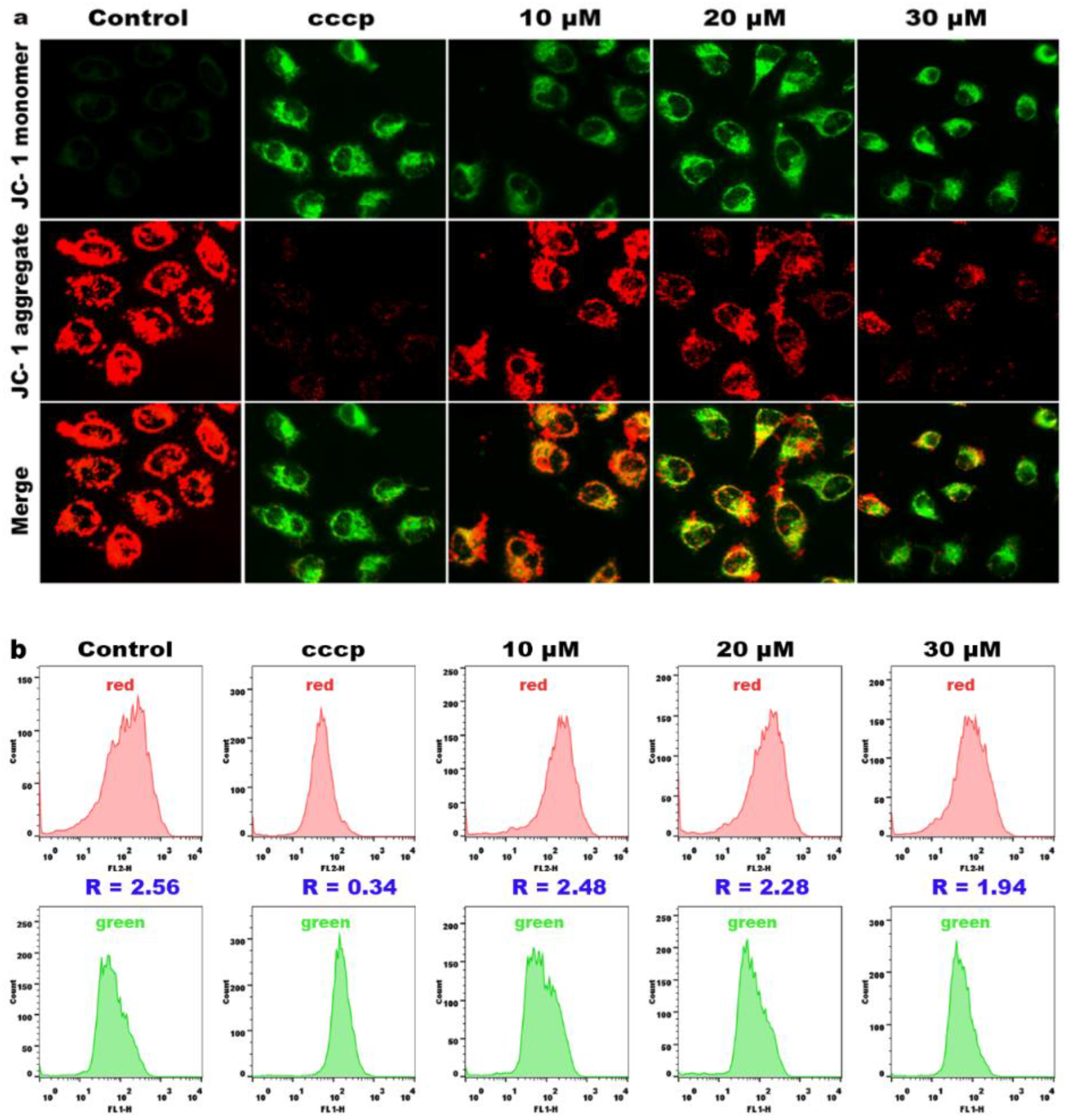 Molecules 28 03164 g007 Molecules 28 03164 g007