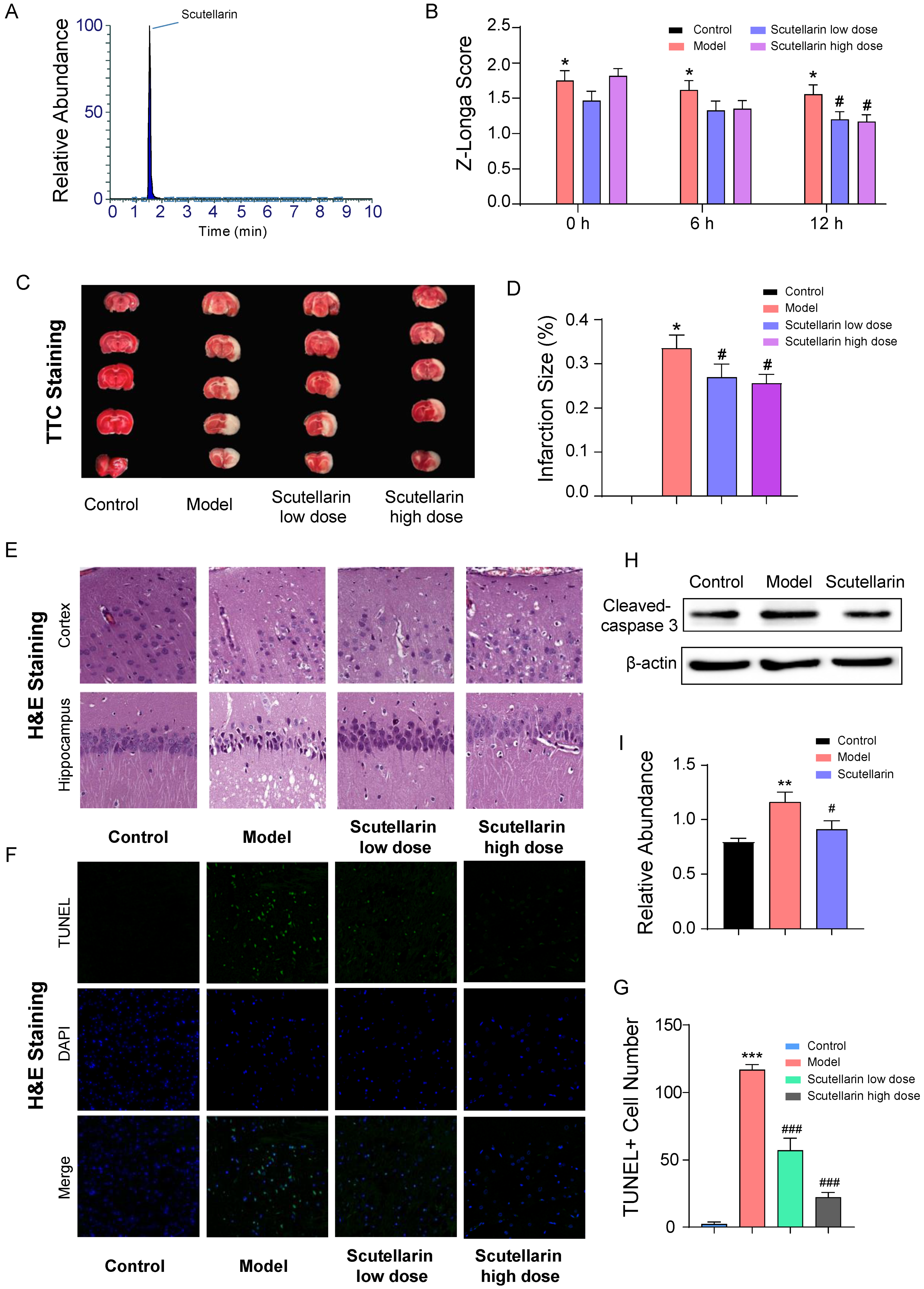 Molecules 28 03181 g001