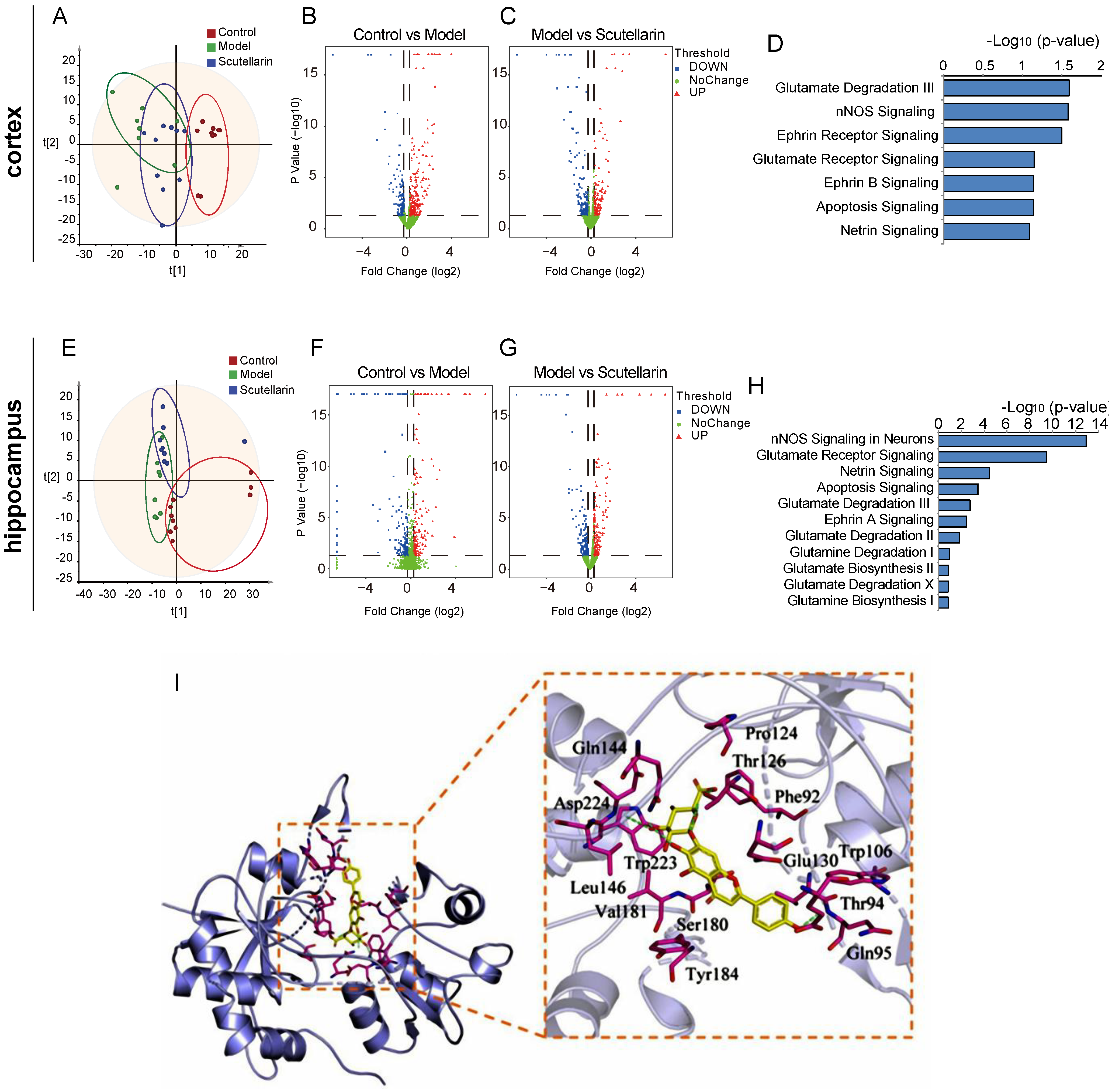 Molecules 28 03181 g002