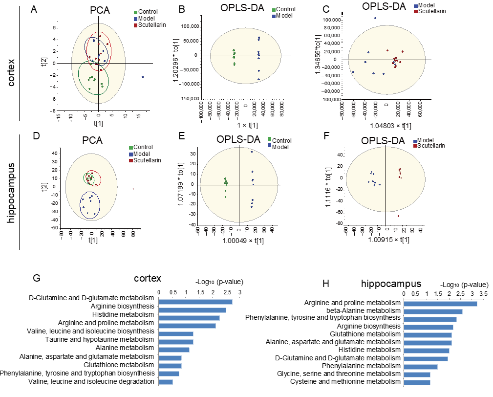 Molecules 28 03181 g005