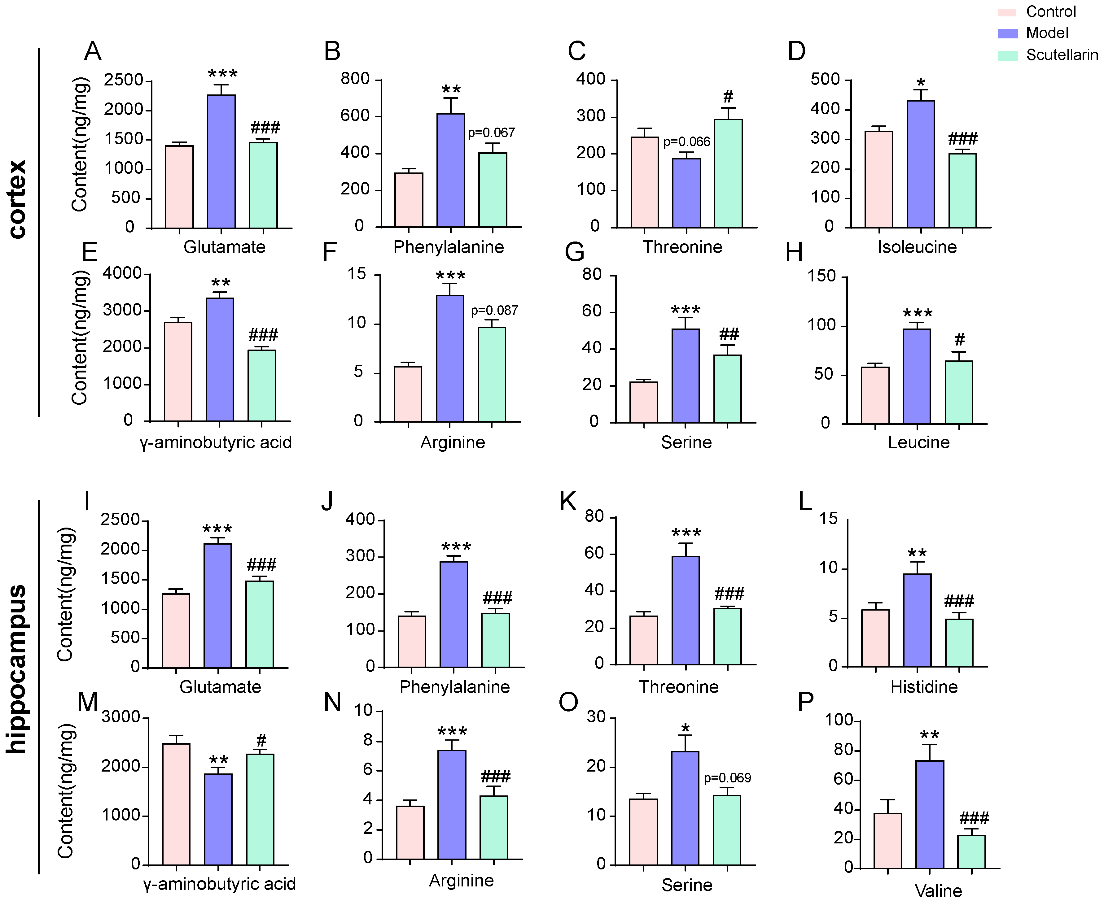 Molecules 28 03181 g006