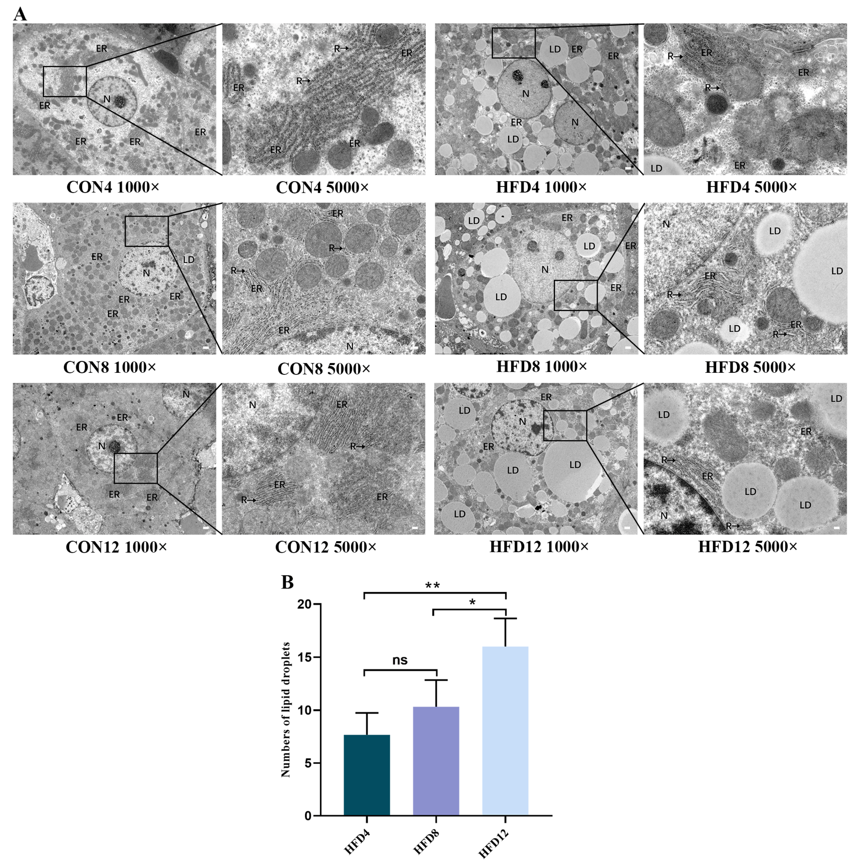 Molecules 28 03185 g002
