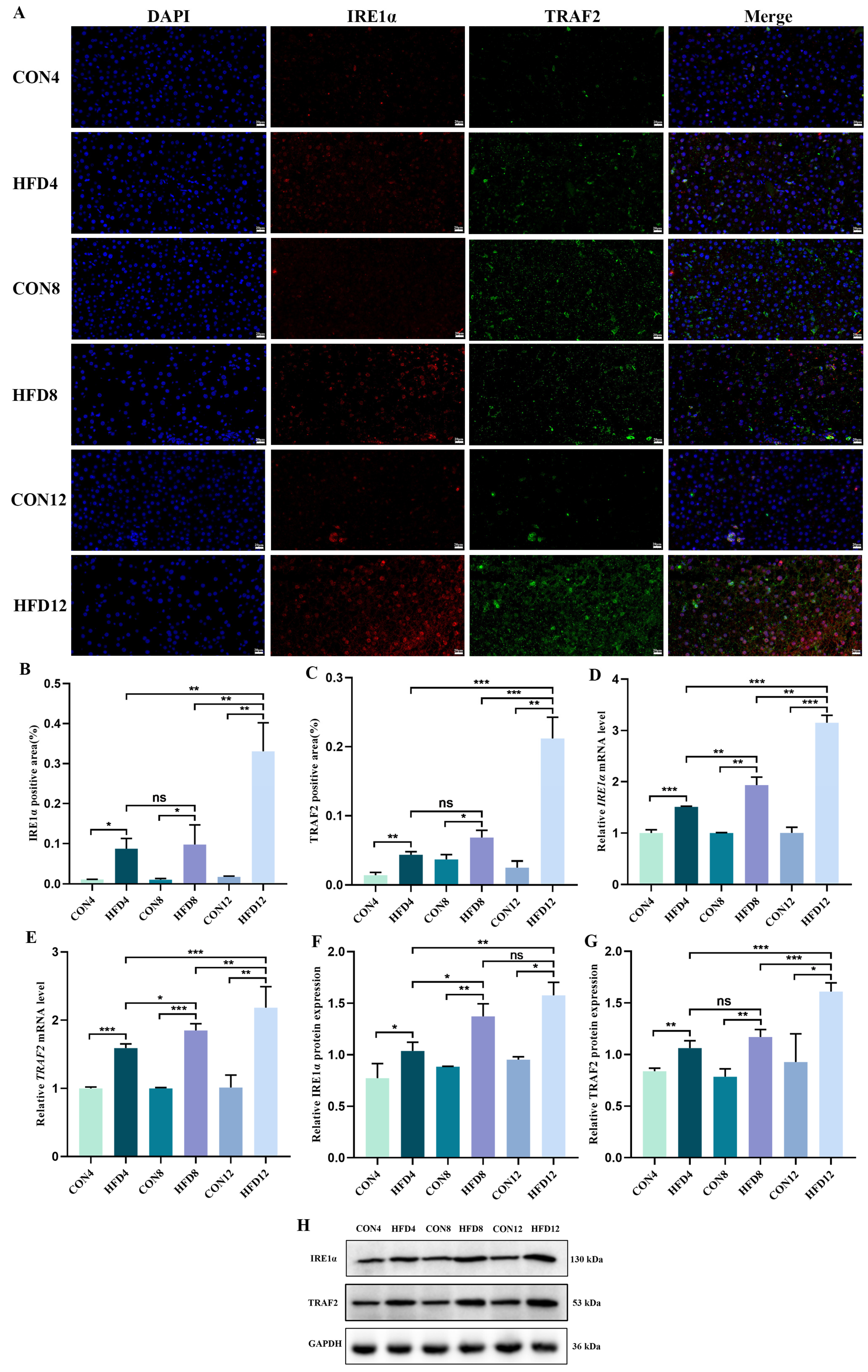 Molecules 28 03185 g004