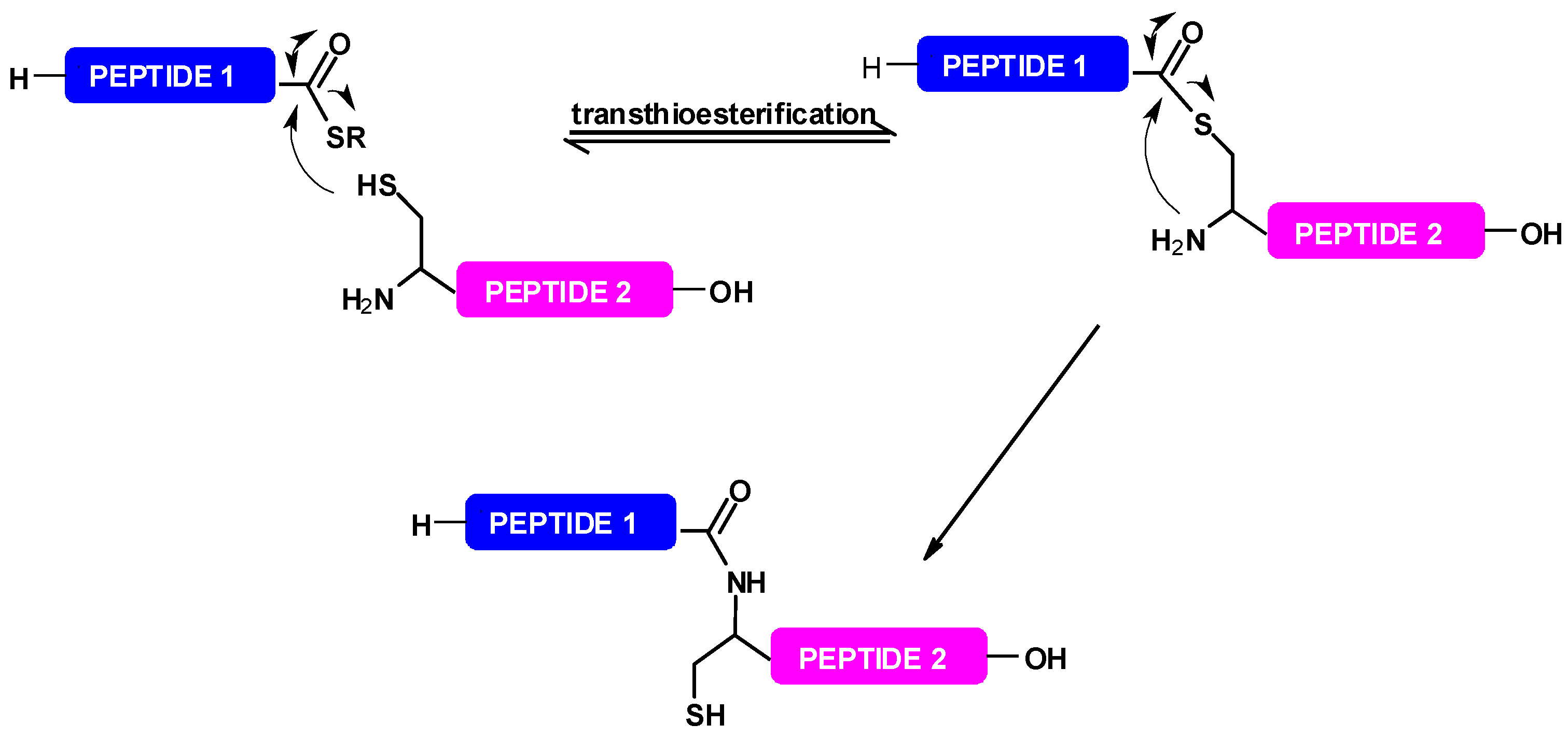 Molecules Free Full Text Selenium In Peptide Chemistry