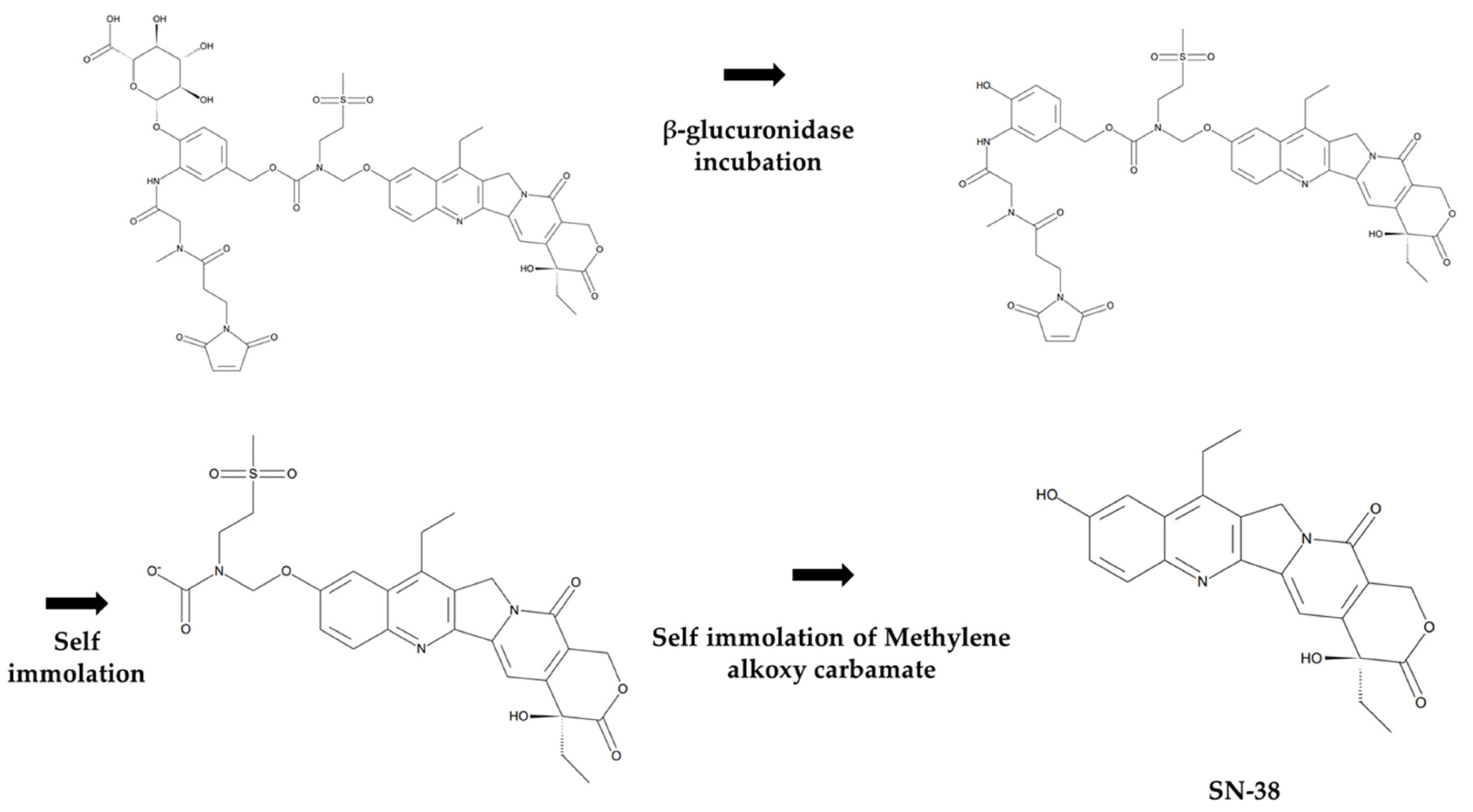 Molecules 28 03223 g009 Molecules 28 03223 g009