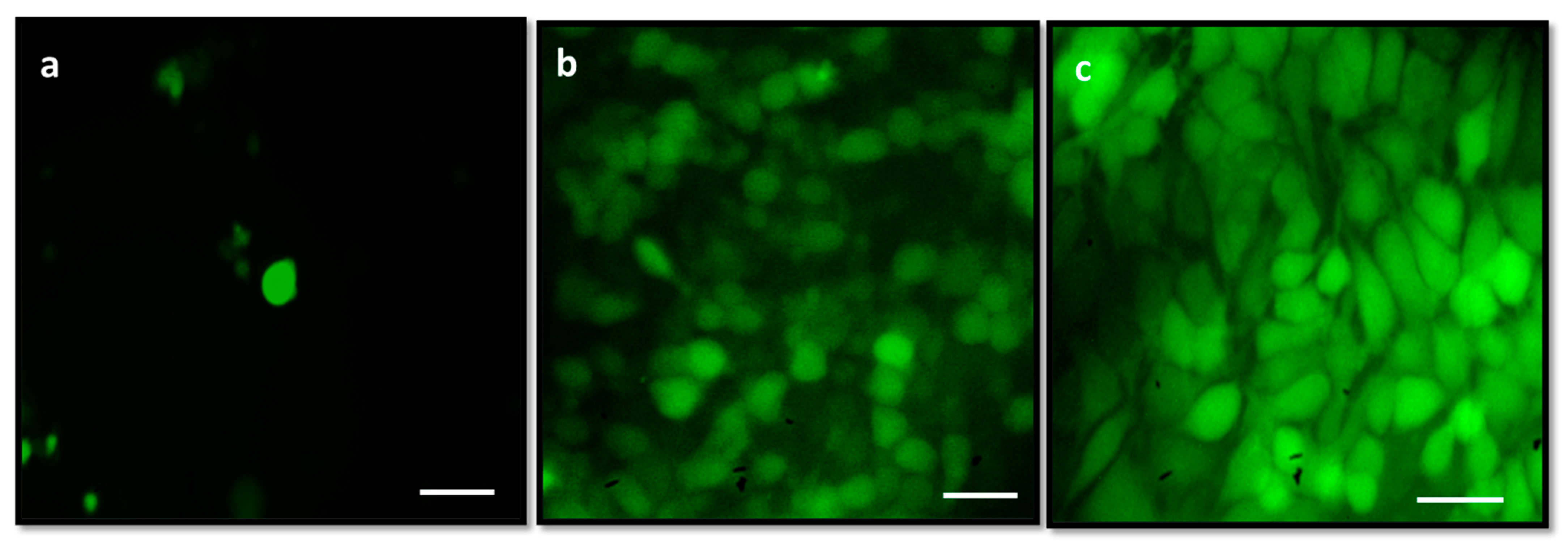 Molecules 28 03228 g008 Molecules 28 03228 g008