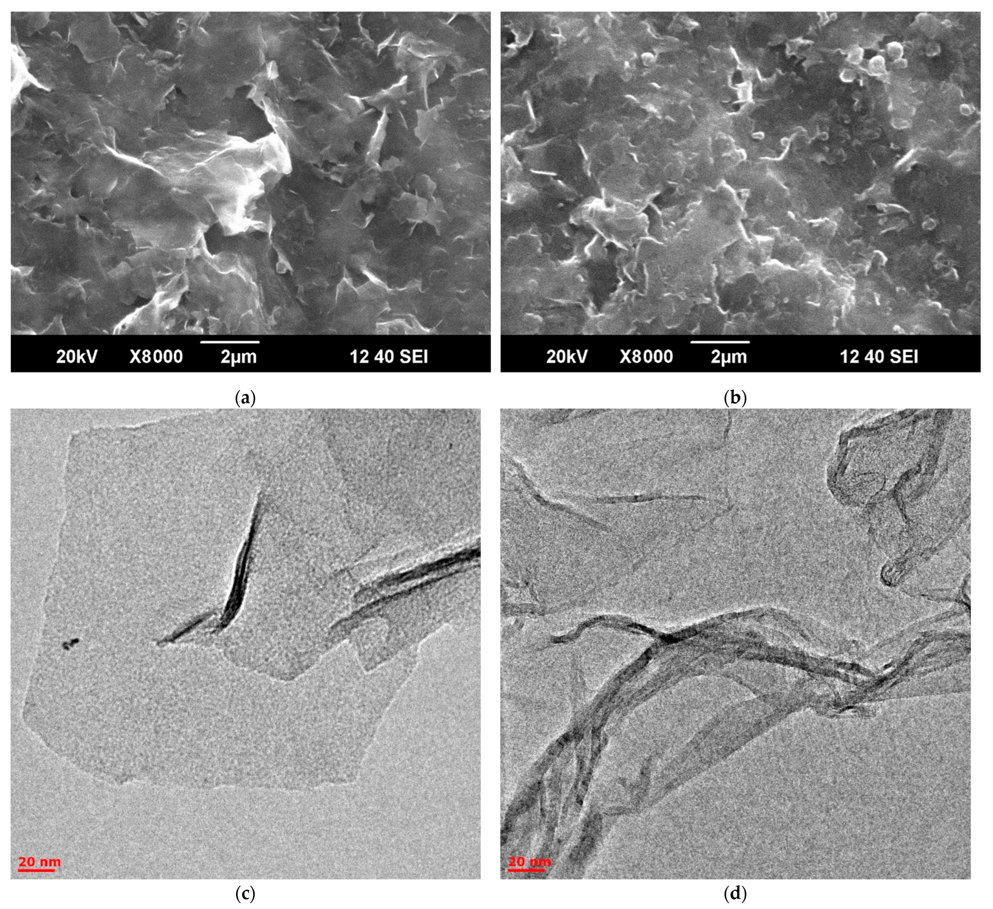 Molecules 28 03238 g006 Molecules 28 03238 g006