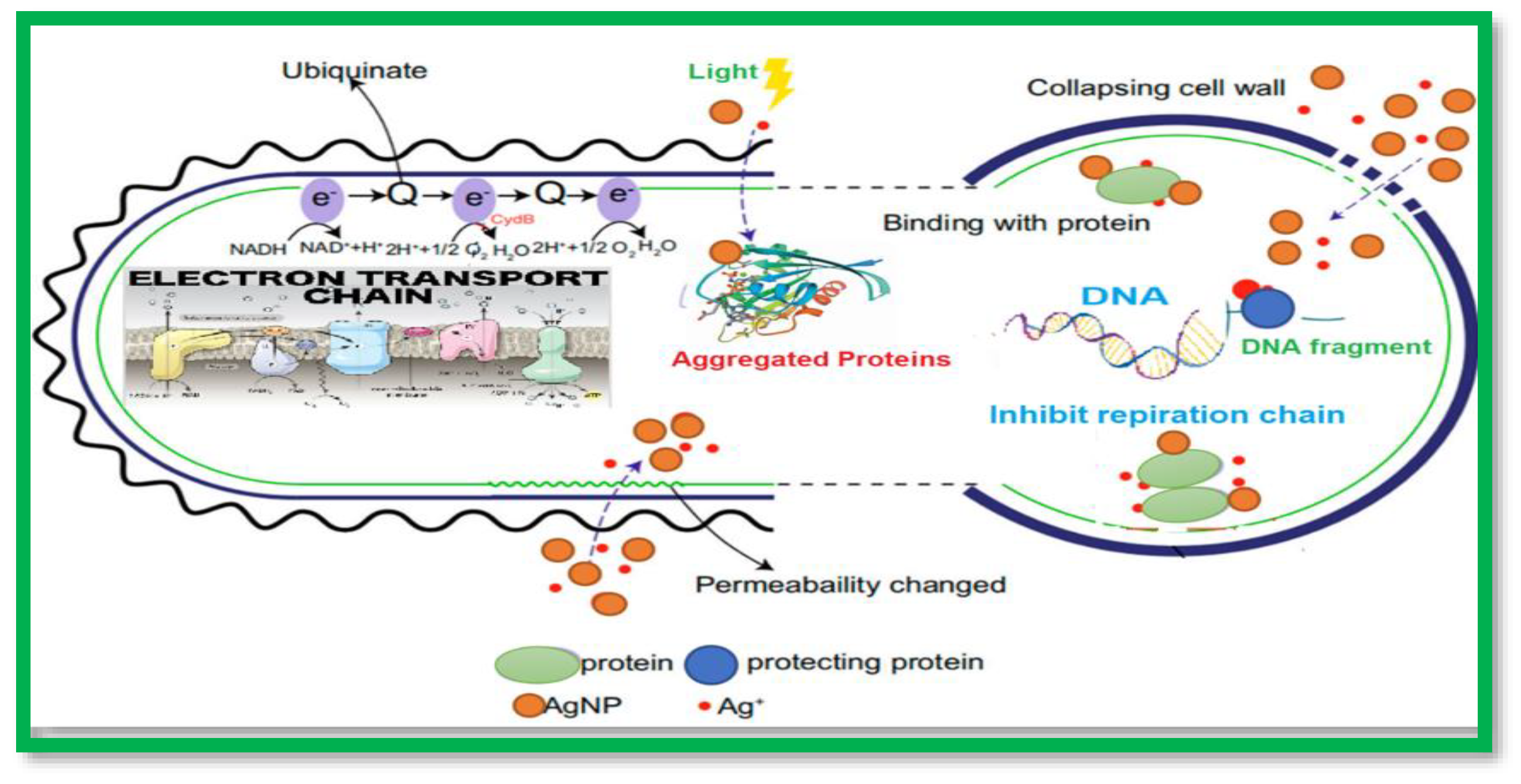 Molecules 28 03241 g001