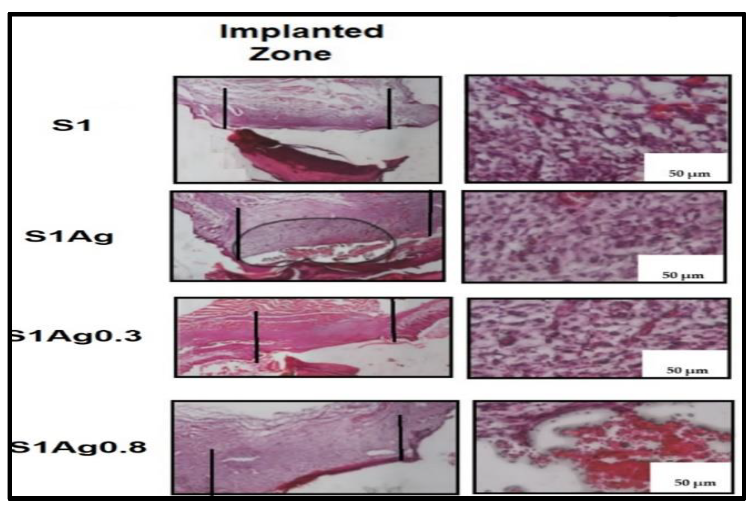 Molecules 28 03241 g008