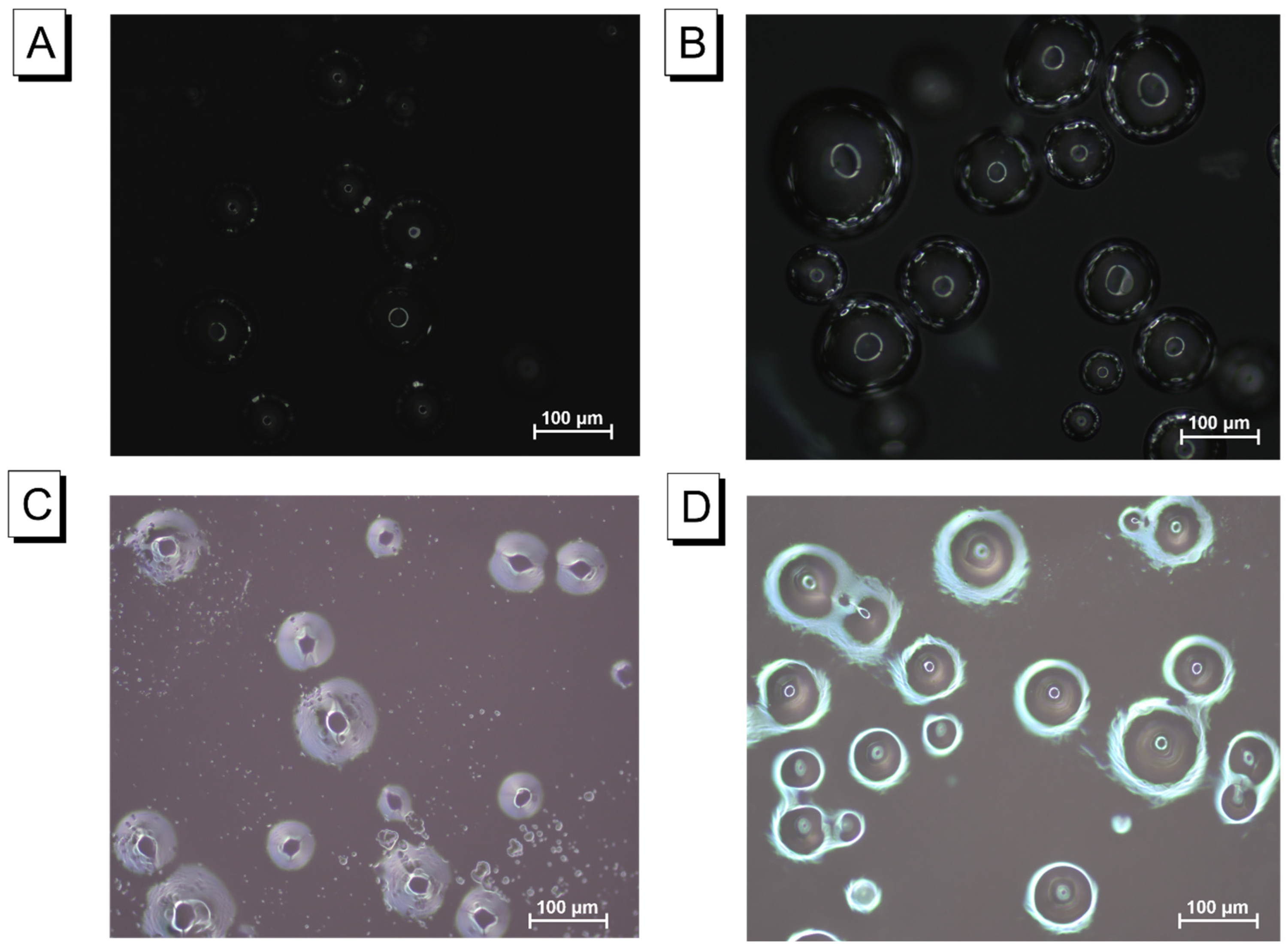 Molecules 28 03244 g004
