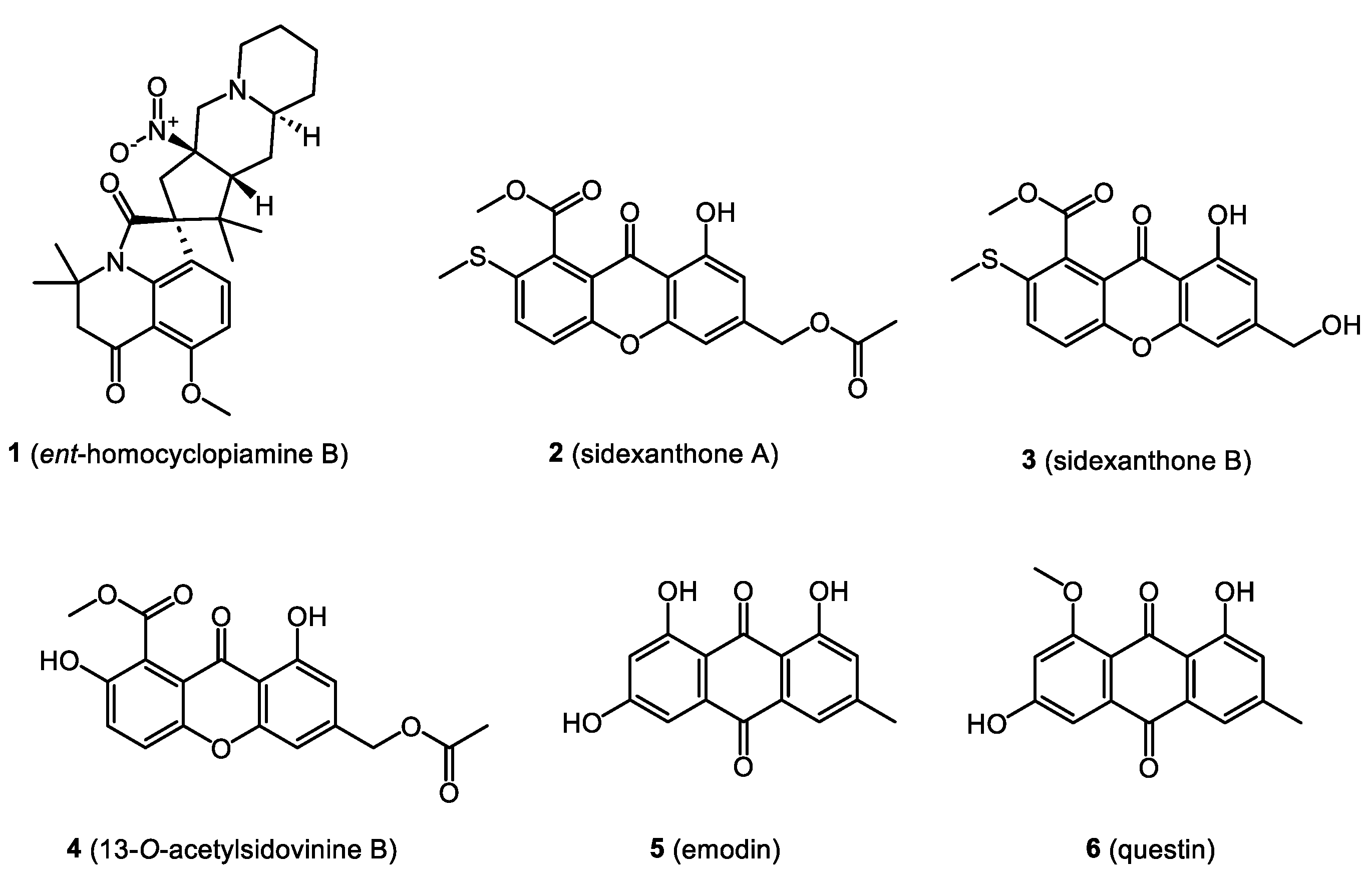 Molecules 28 03246 g003