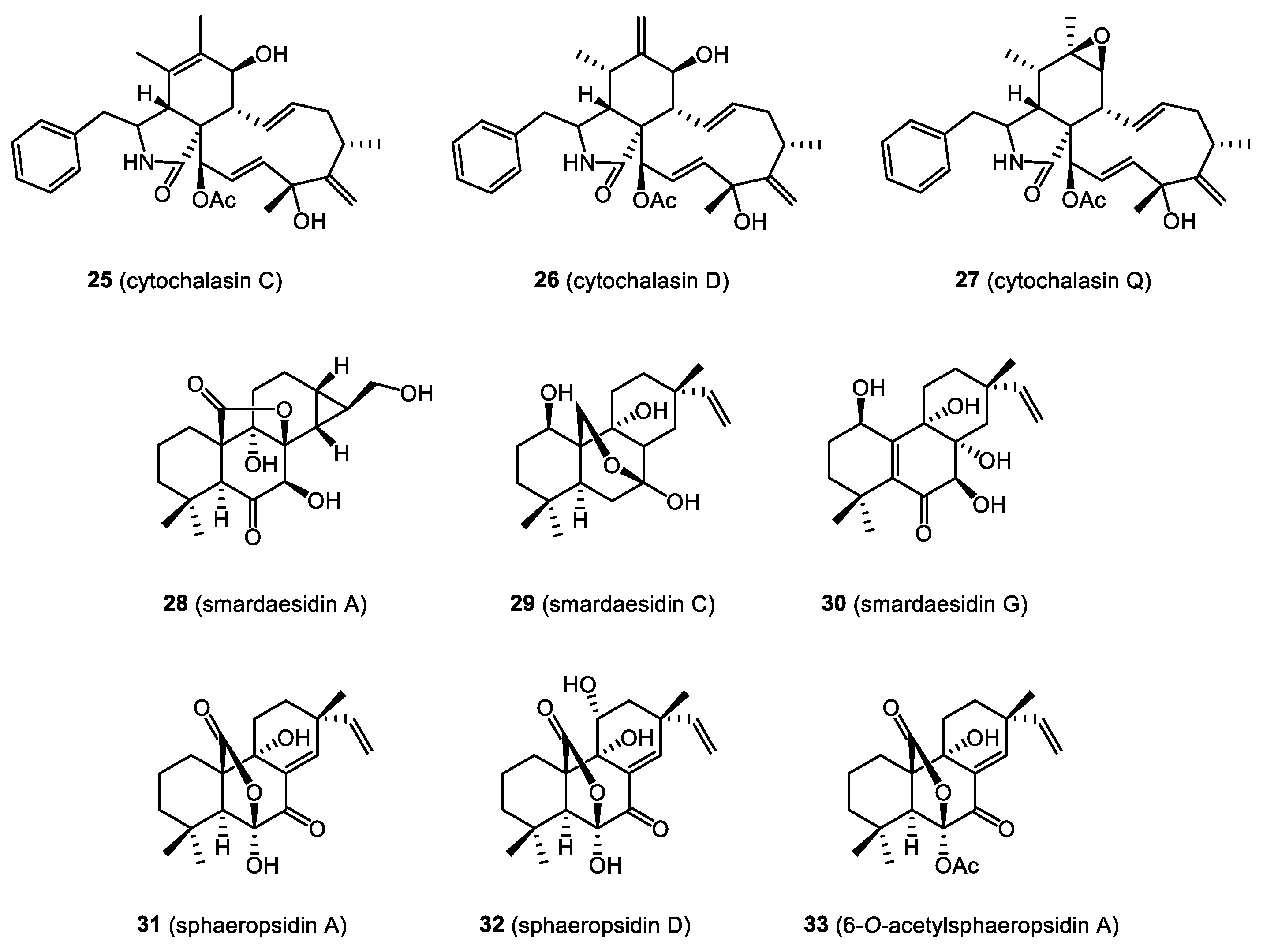 Molecules 28 03246 g006