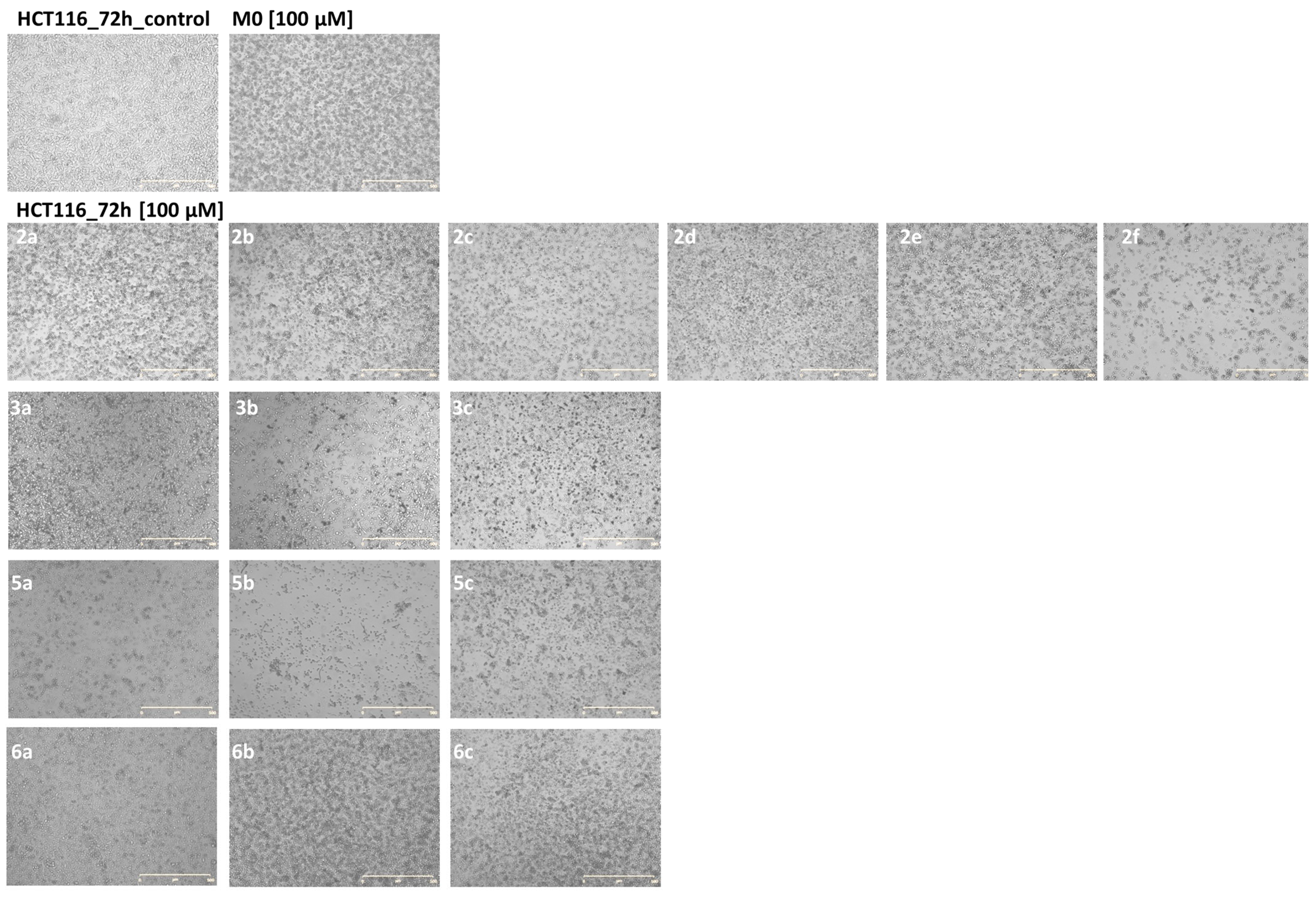 Molecules 28 03248 g001 Molecules 28 03248 g001