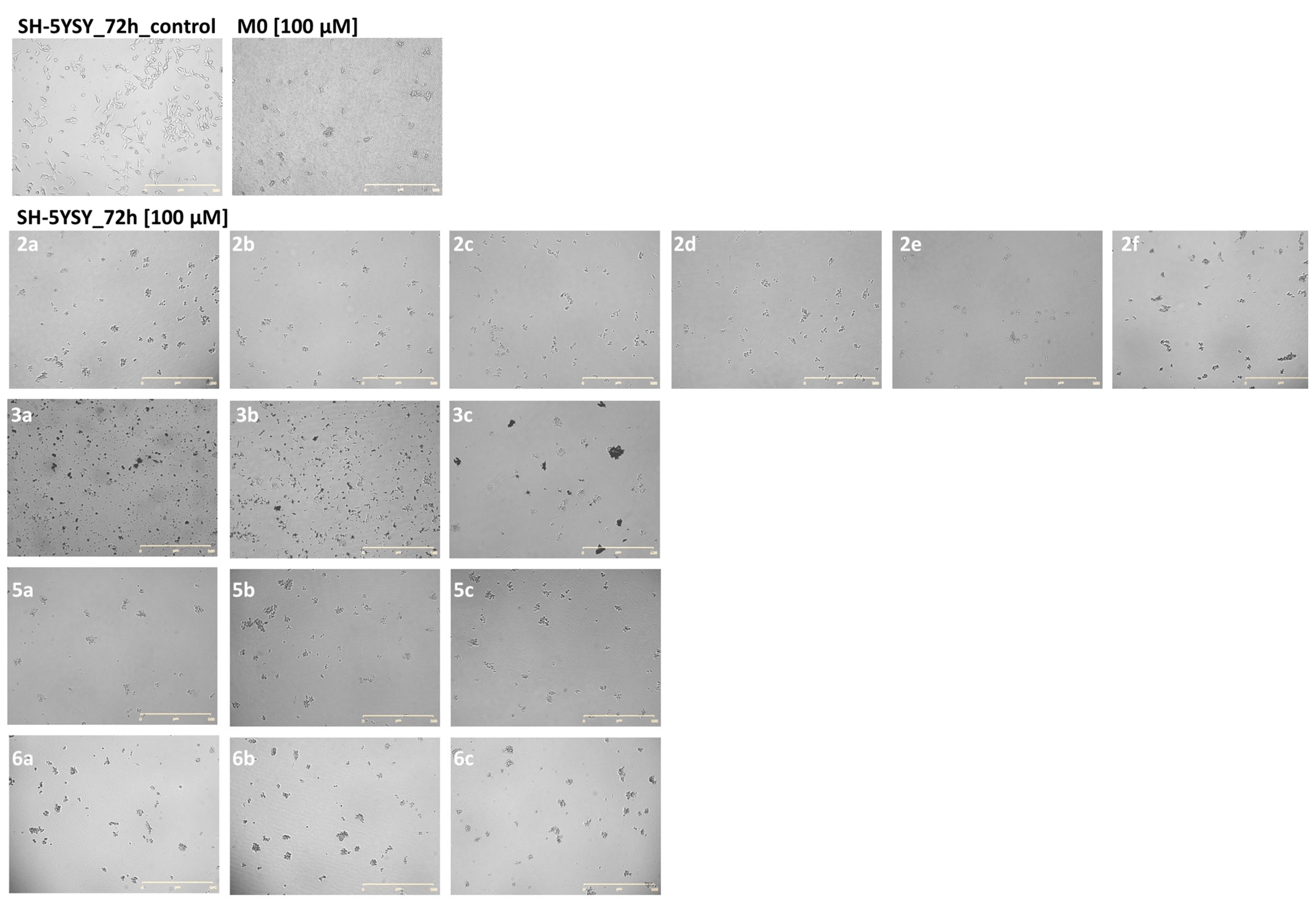 Molecules 28 03248 g002 Molecules 28 03248 g002