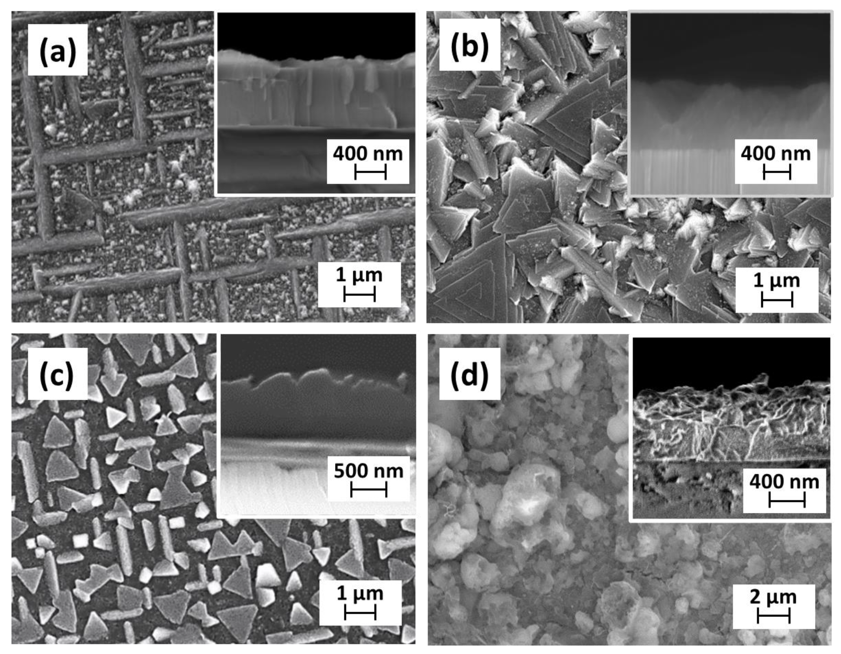 Molecules 28 03303 g003 Molecules 28 03303 g003