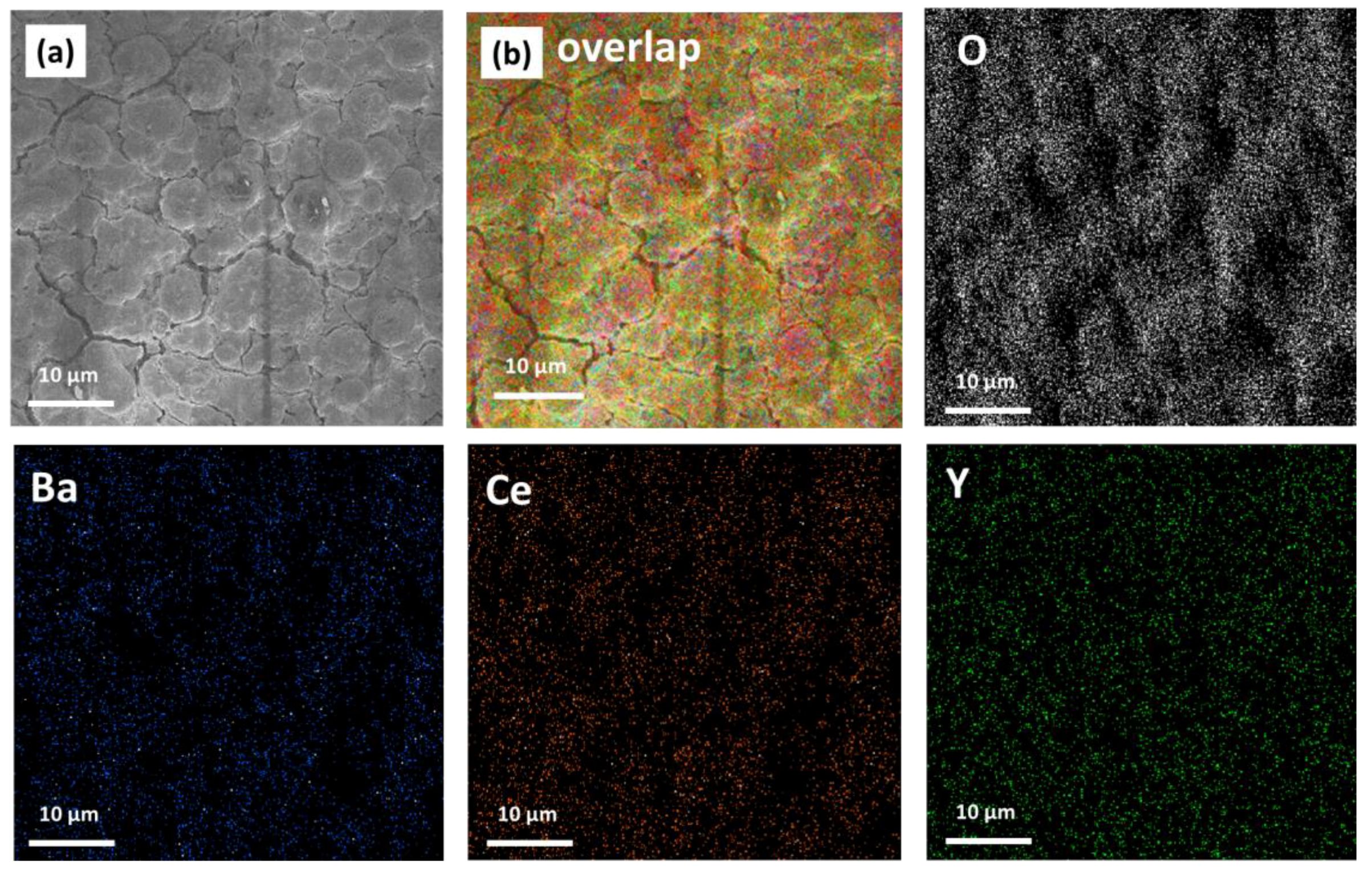 Molecules 28 03303 g009 Molecules 28 03303 g009