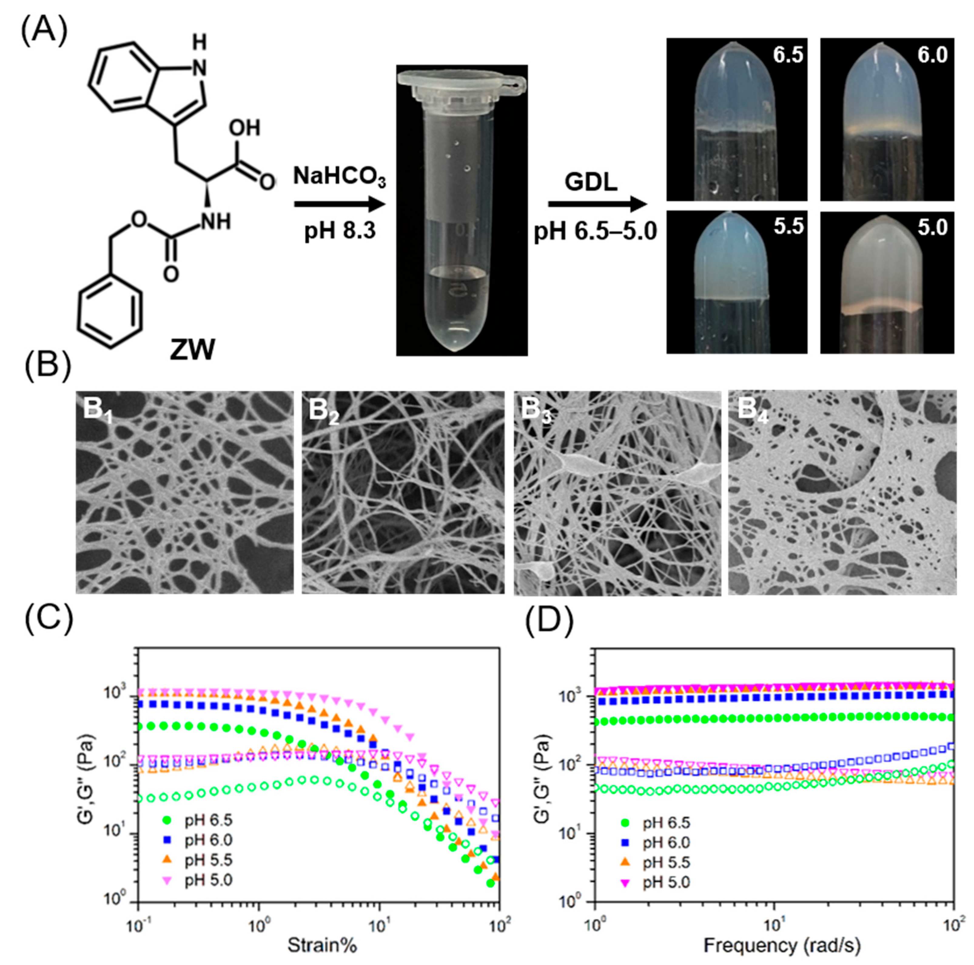 Molecules 28 03334 g001