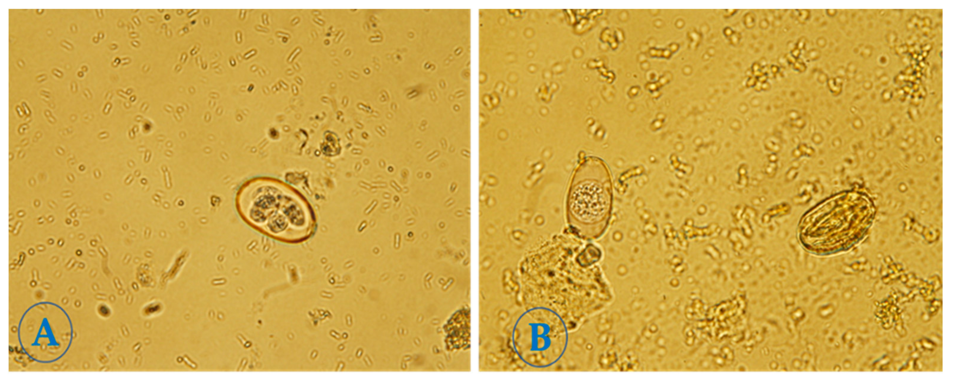 Molecules 28 03352 g002