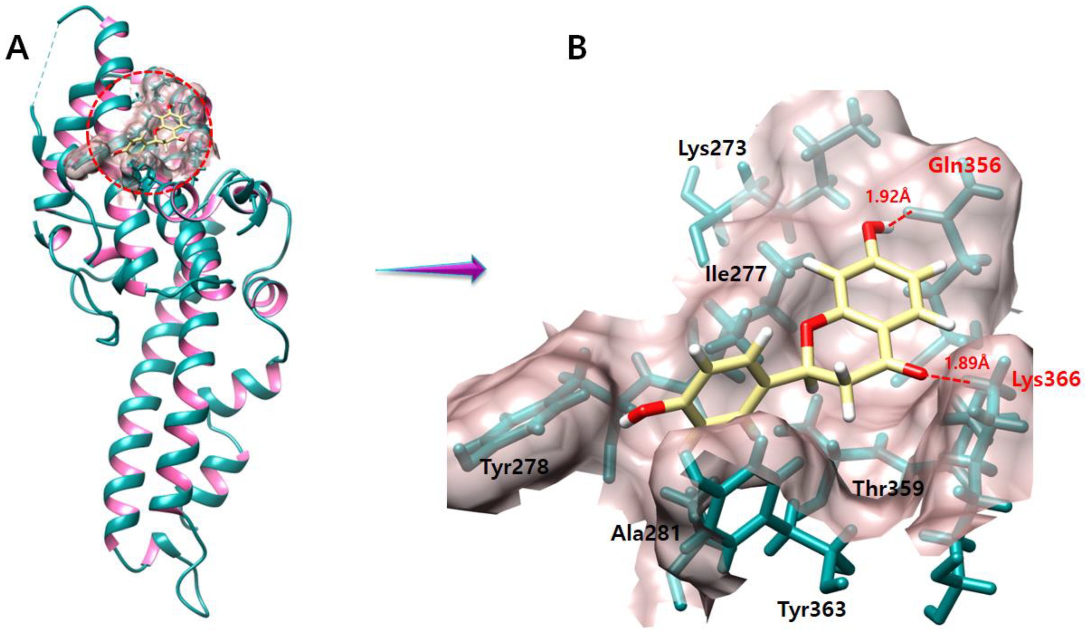 Molecules 28 03358 g009 Molecules 28 03358 g009