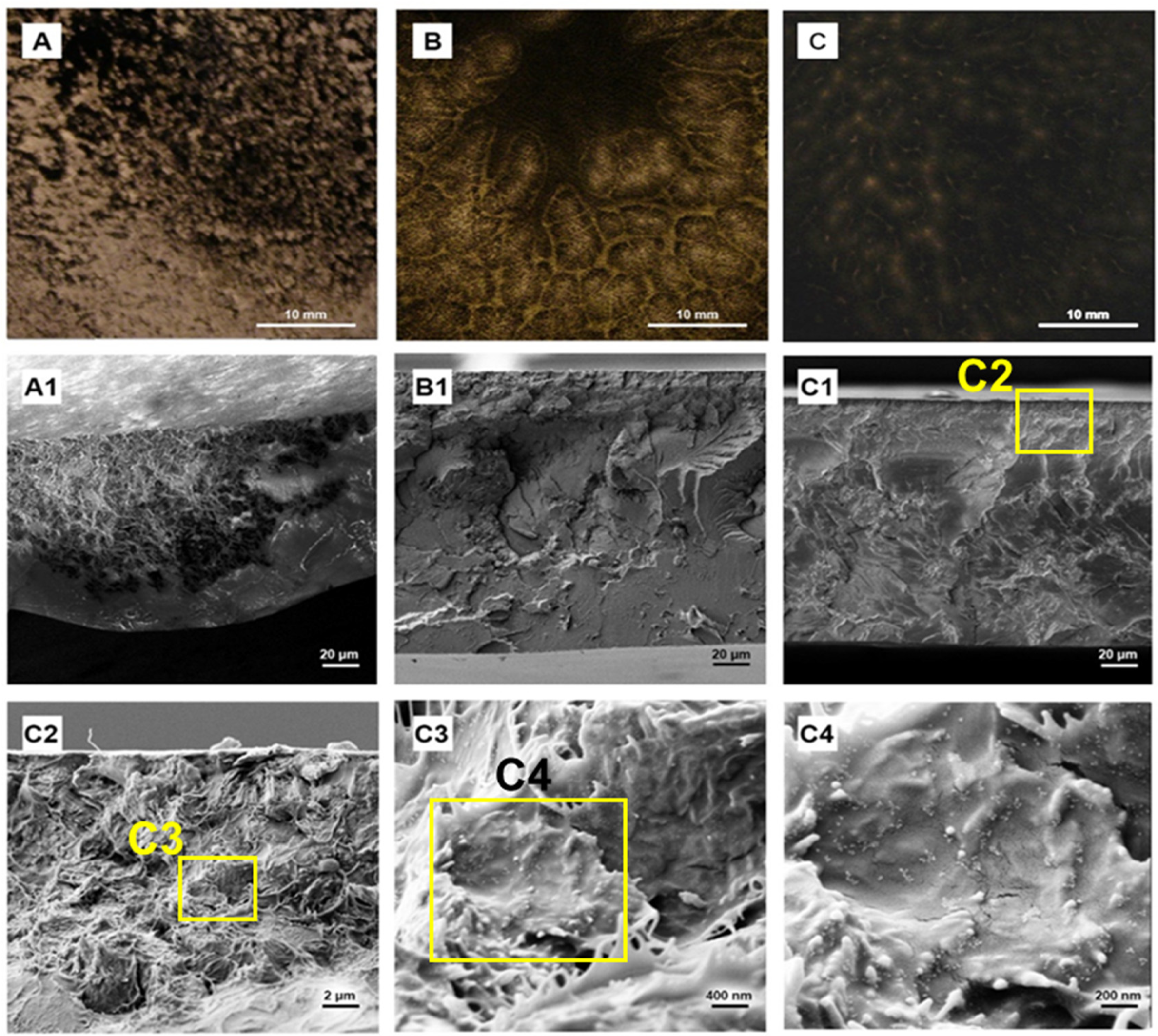 Molecules 28 03383 g010 Molecules 28 03383 g010