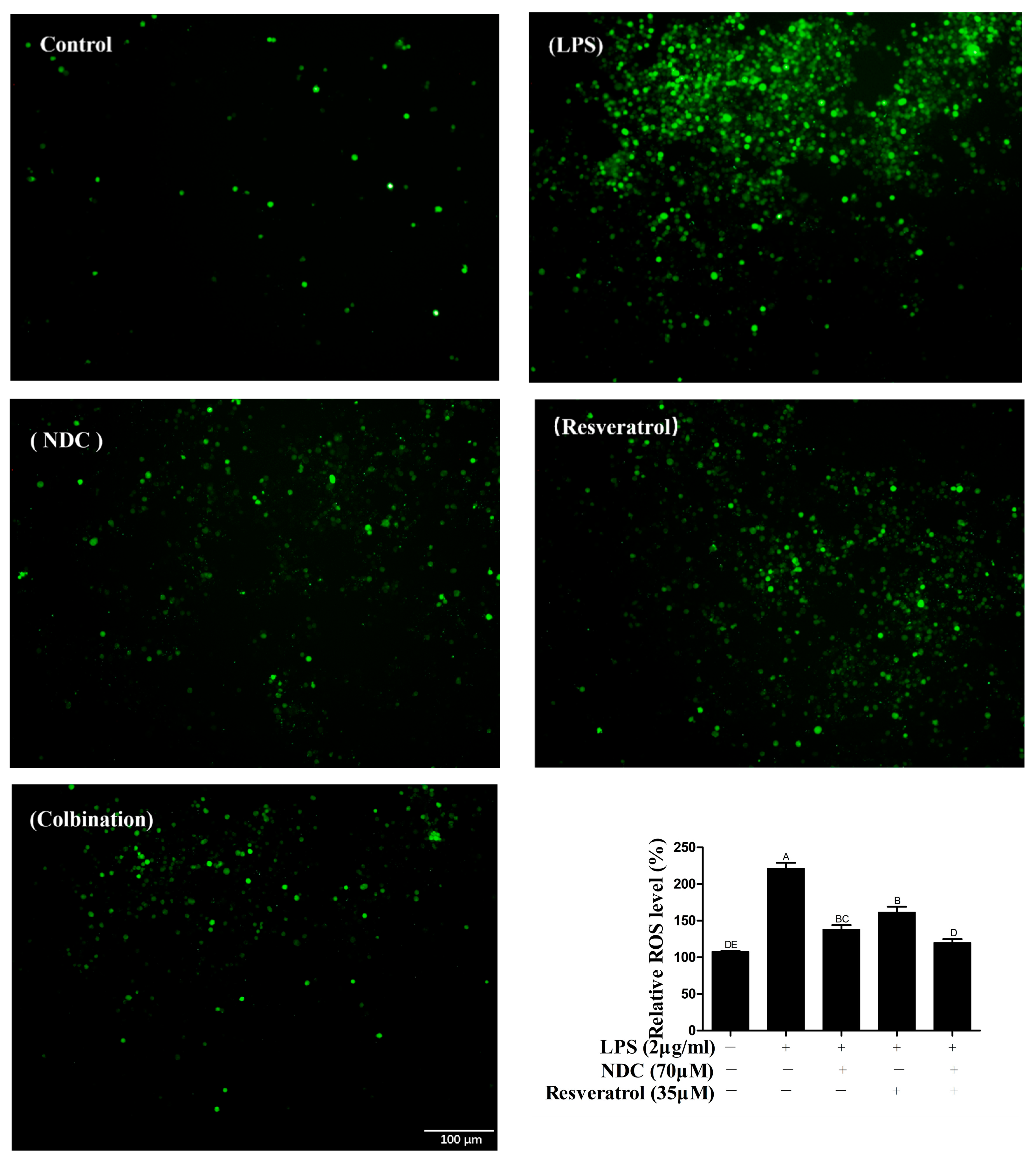 Molecules 28 03395 g006 Molecules 28 03395 g006