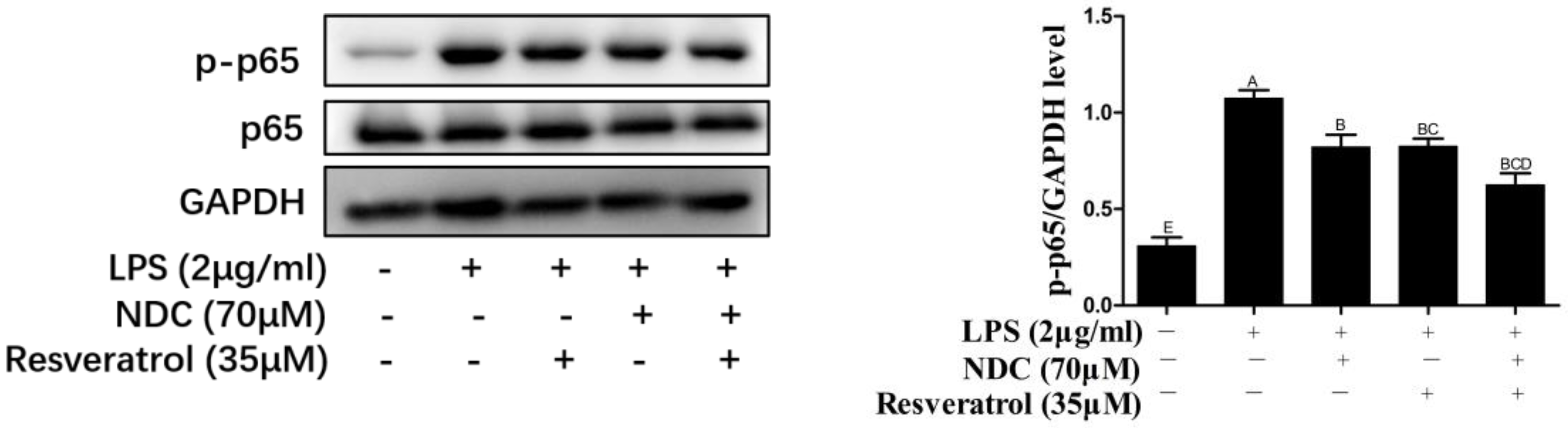 Molecules 28 03395 g008 Molecules 28 03395 g008