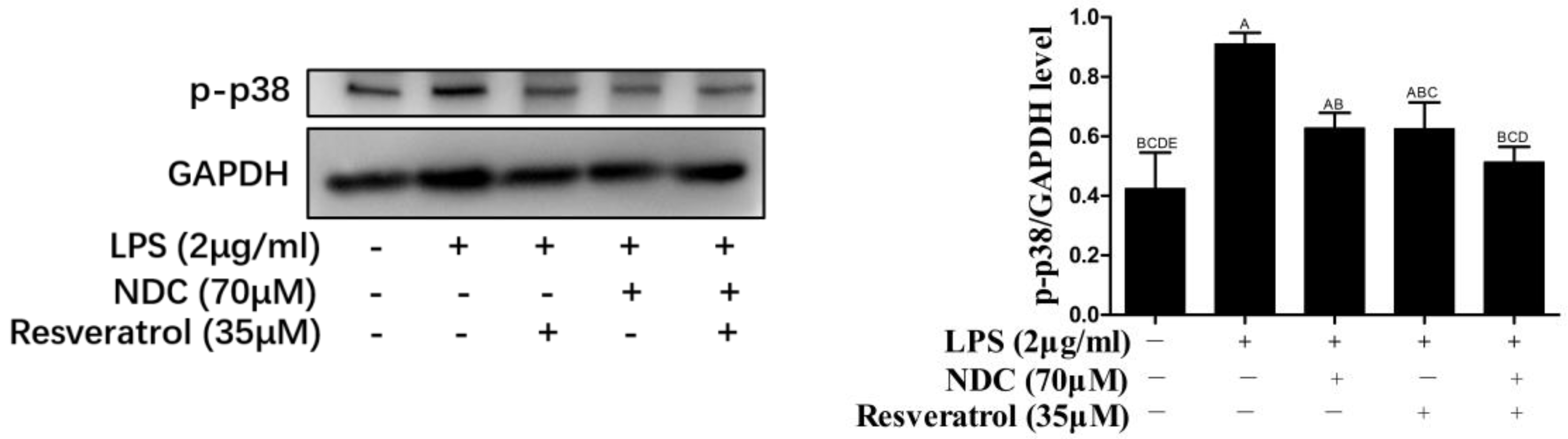 Molecules 28 03395 g009 Molecules 28 03395 g009