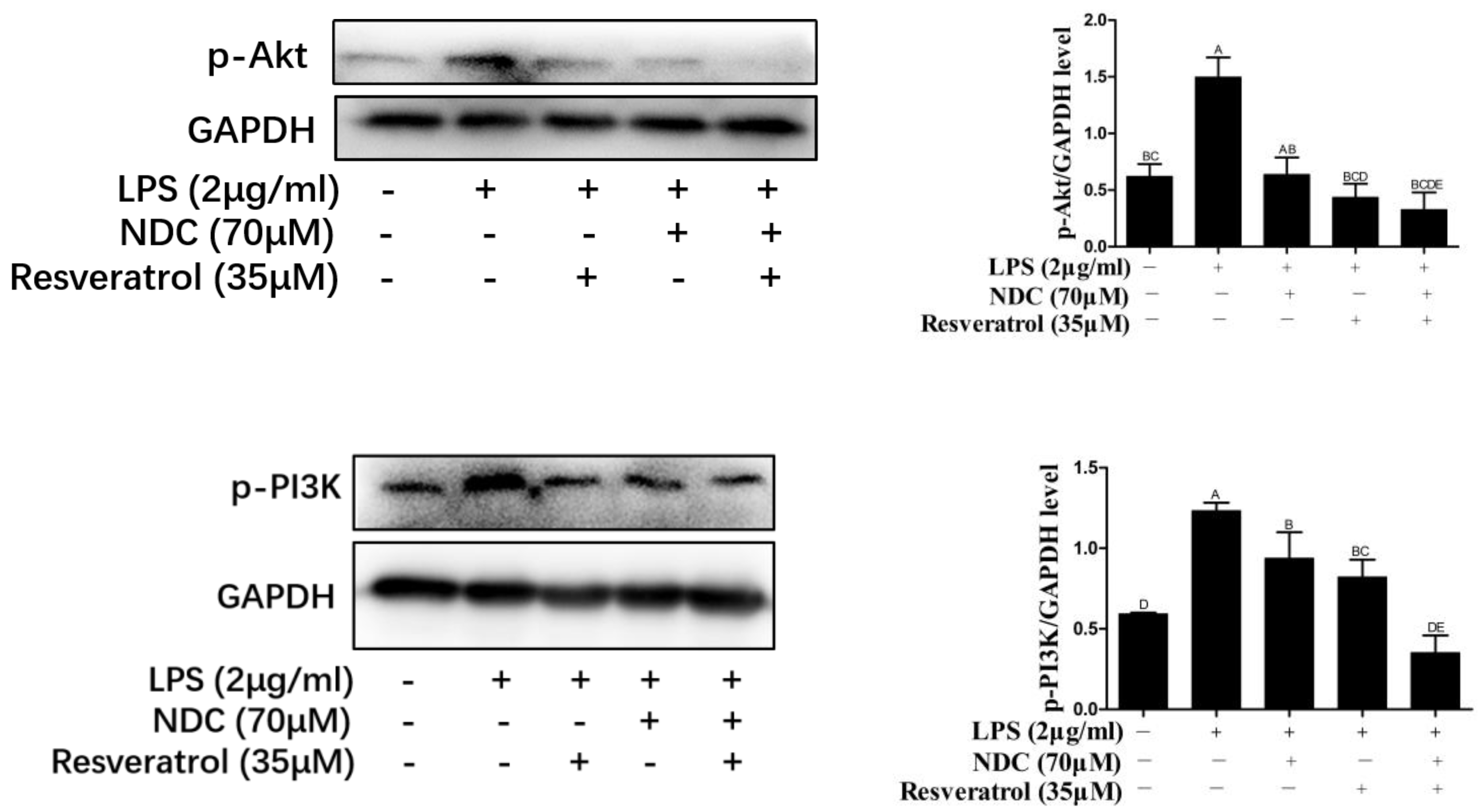 Molecules 28 03395 g010 Molecules 28 03395 g010