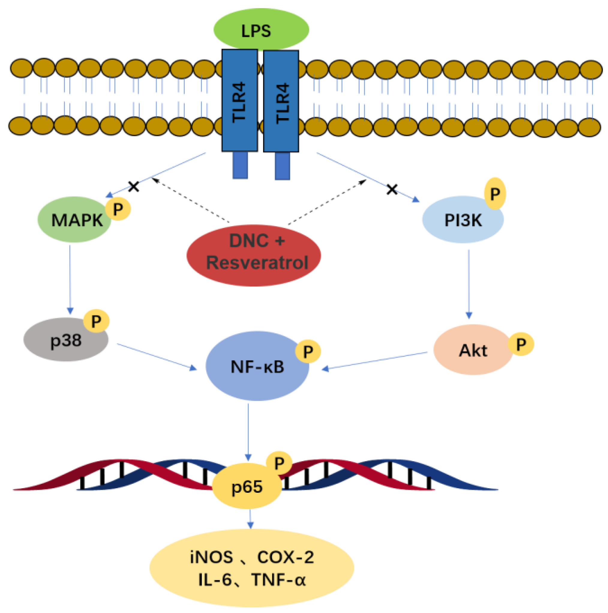 Molecules 28 03395 g011 Molecules 28 03395 g011