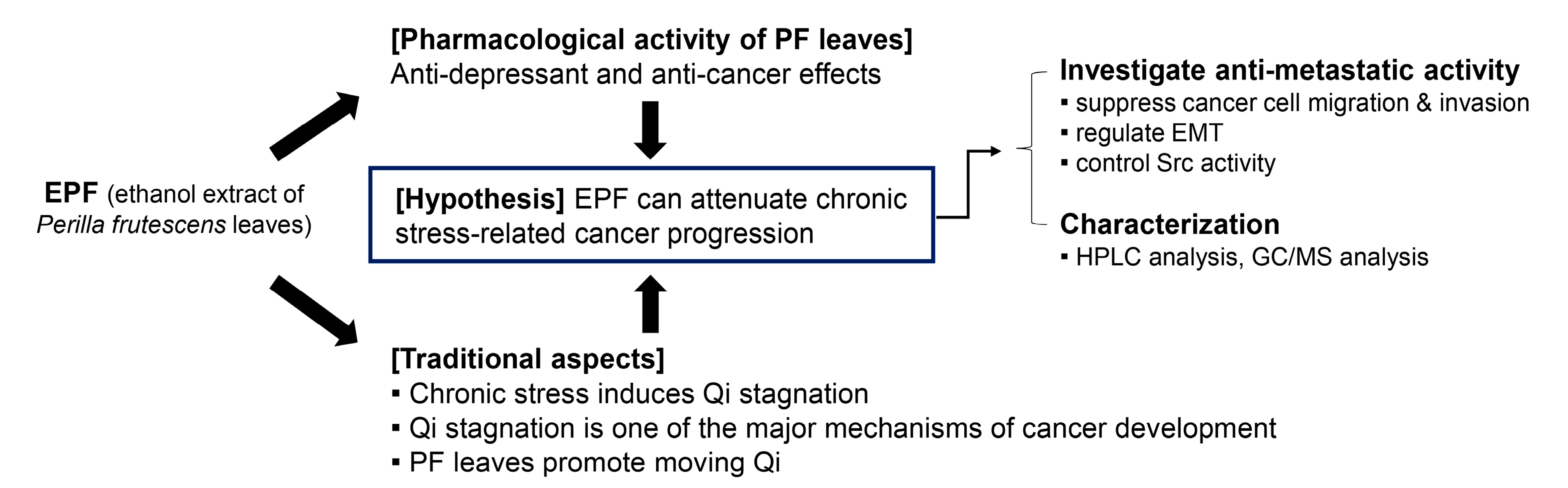 Molecules 28 03414 g001 Molecules 28 03414 g001