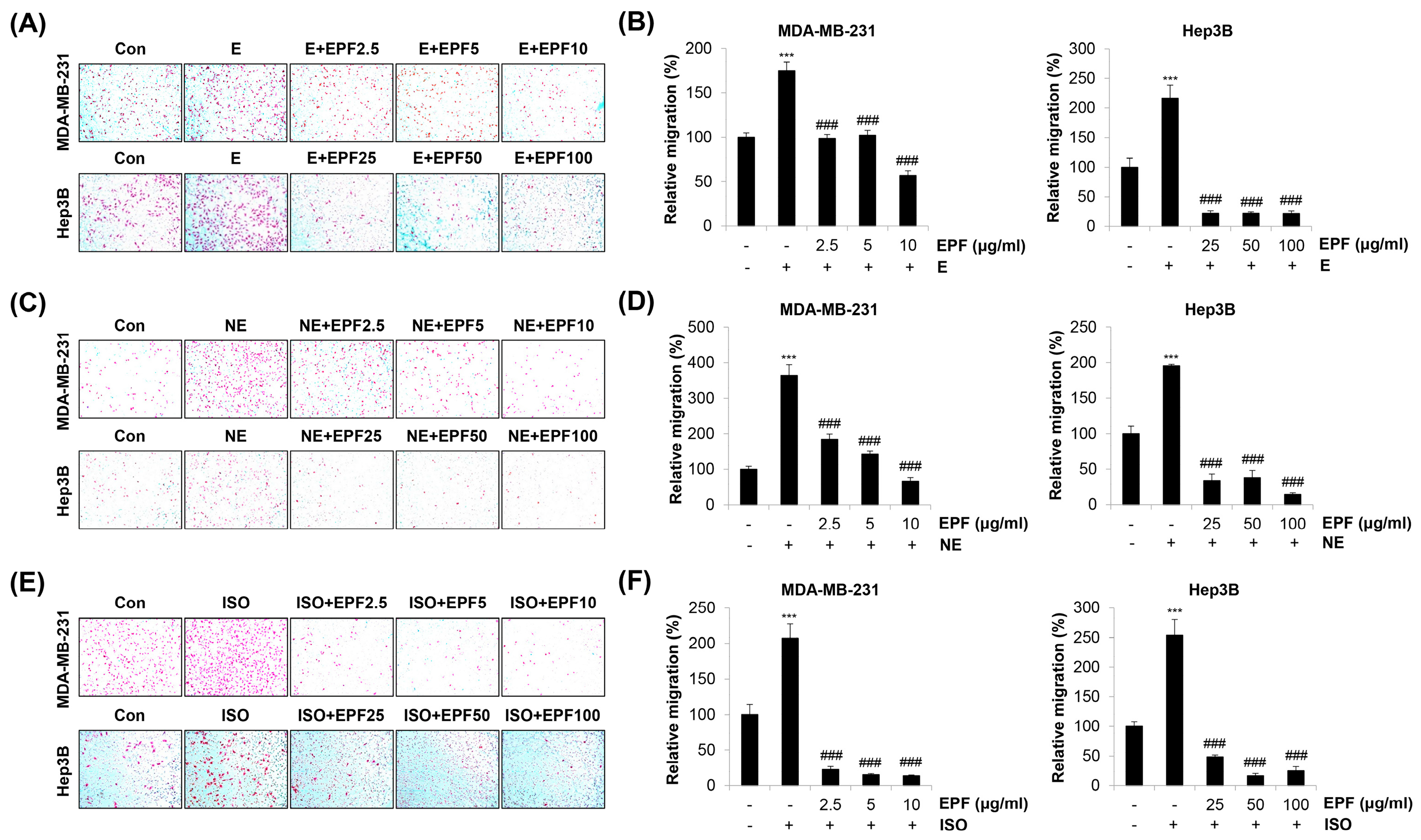 Molecules 28 03414 g005 Molecules 28 03414 g005
