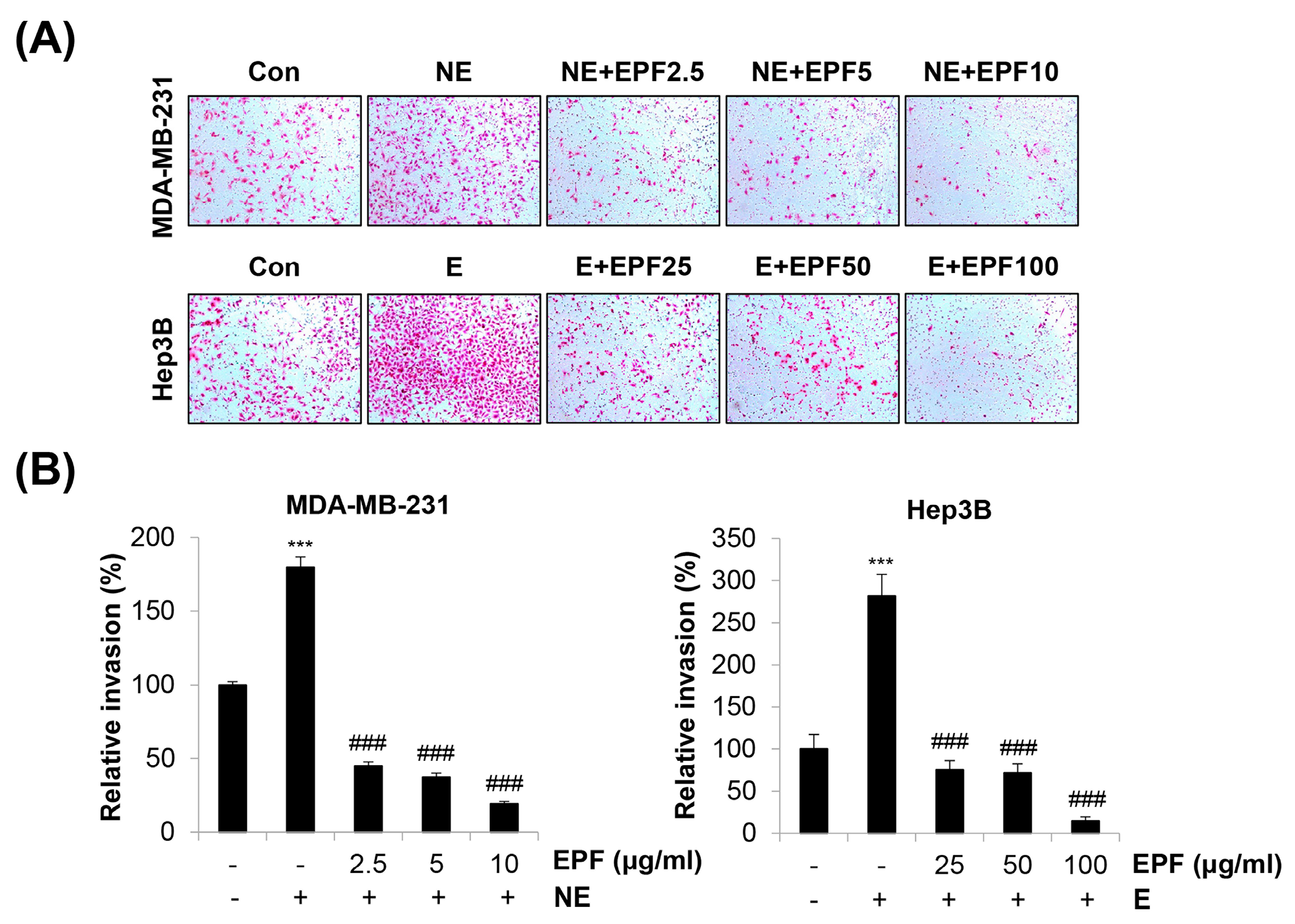 Molecules 28 03414 g006 Molecules 28 03414 g006