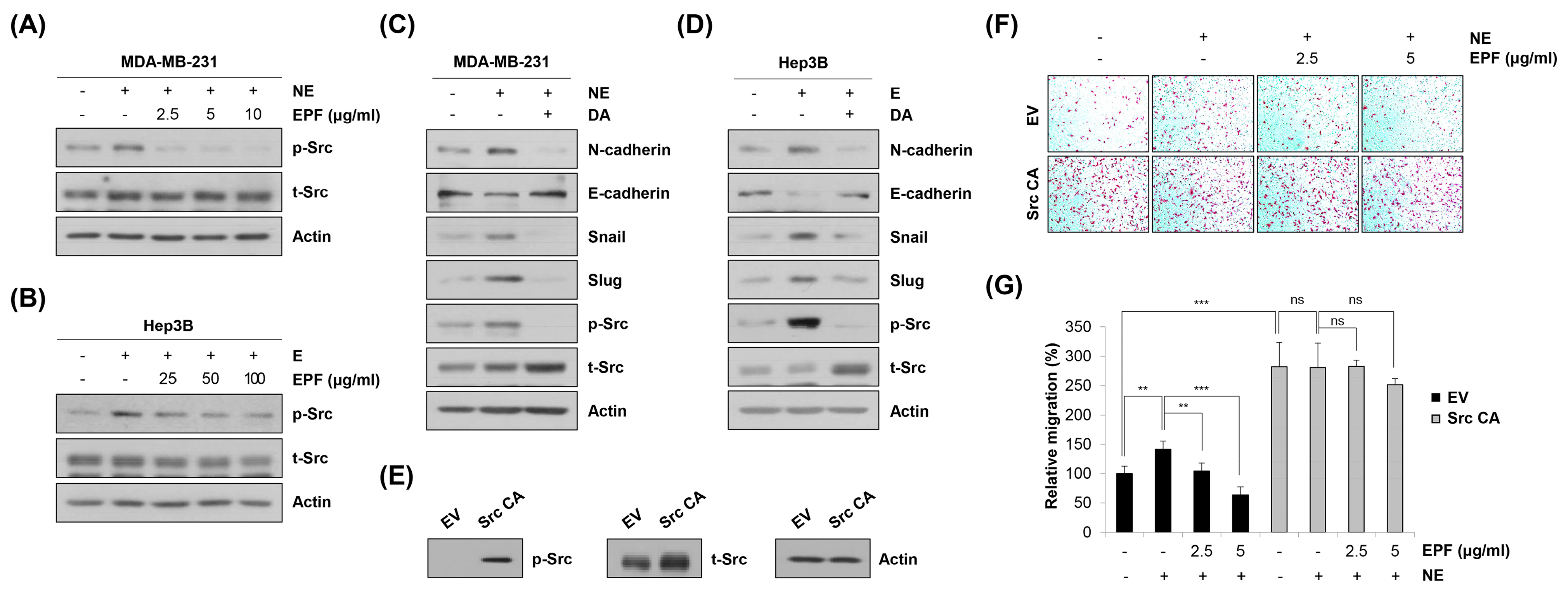 Molecules 28 03414 g008 Molecules 28 03414 g008