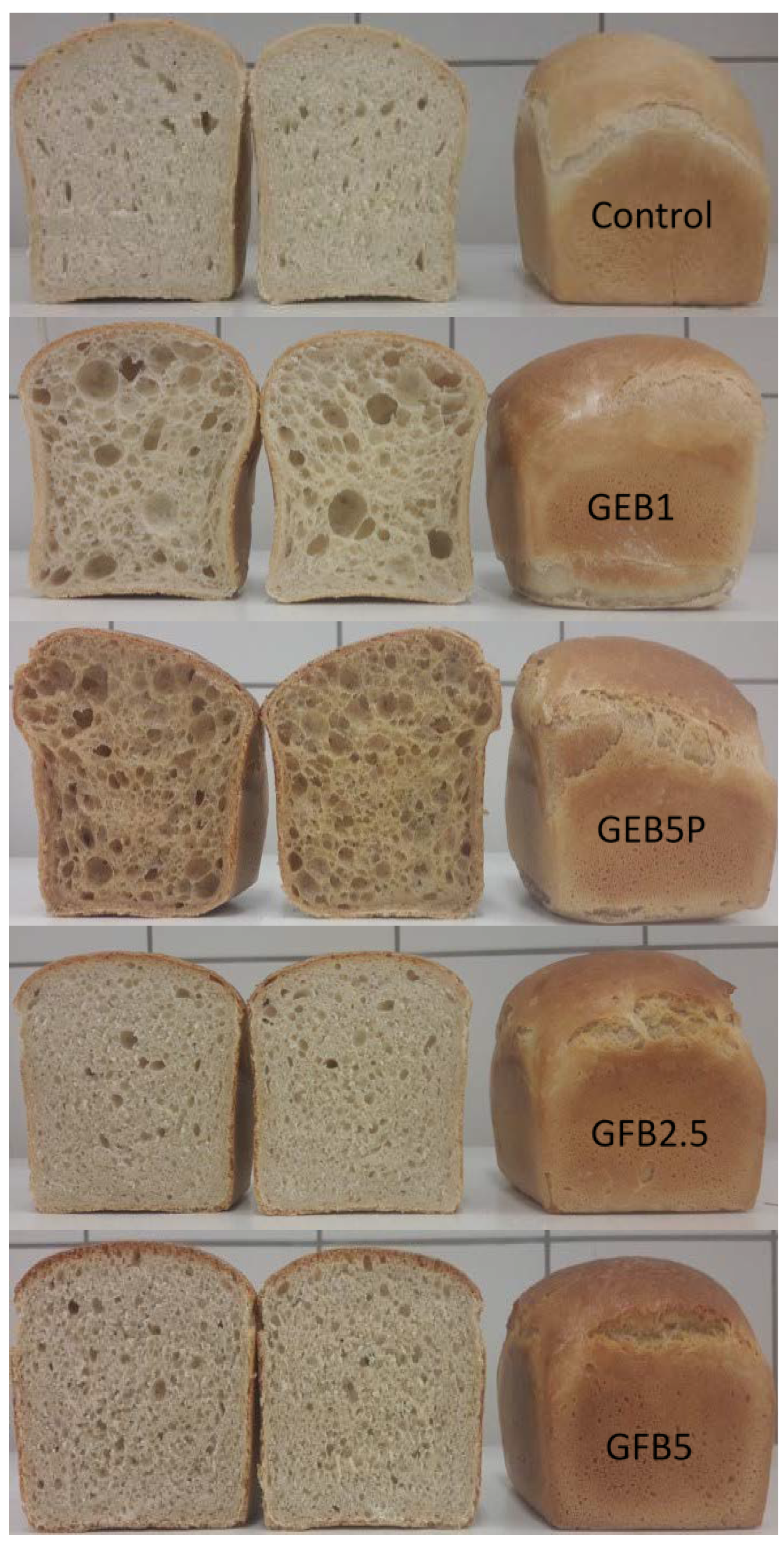 Vital Wheat Gluten: Explained  How to Use it in Breadmaking - ChainBaker