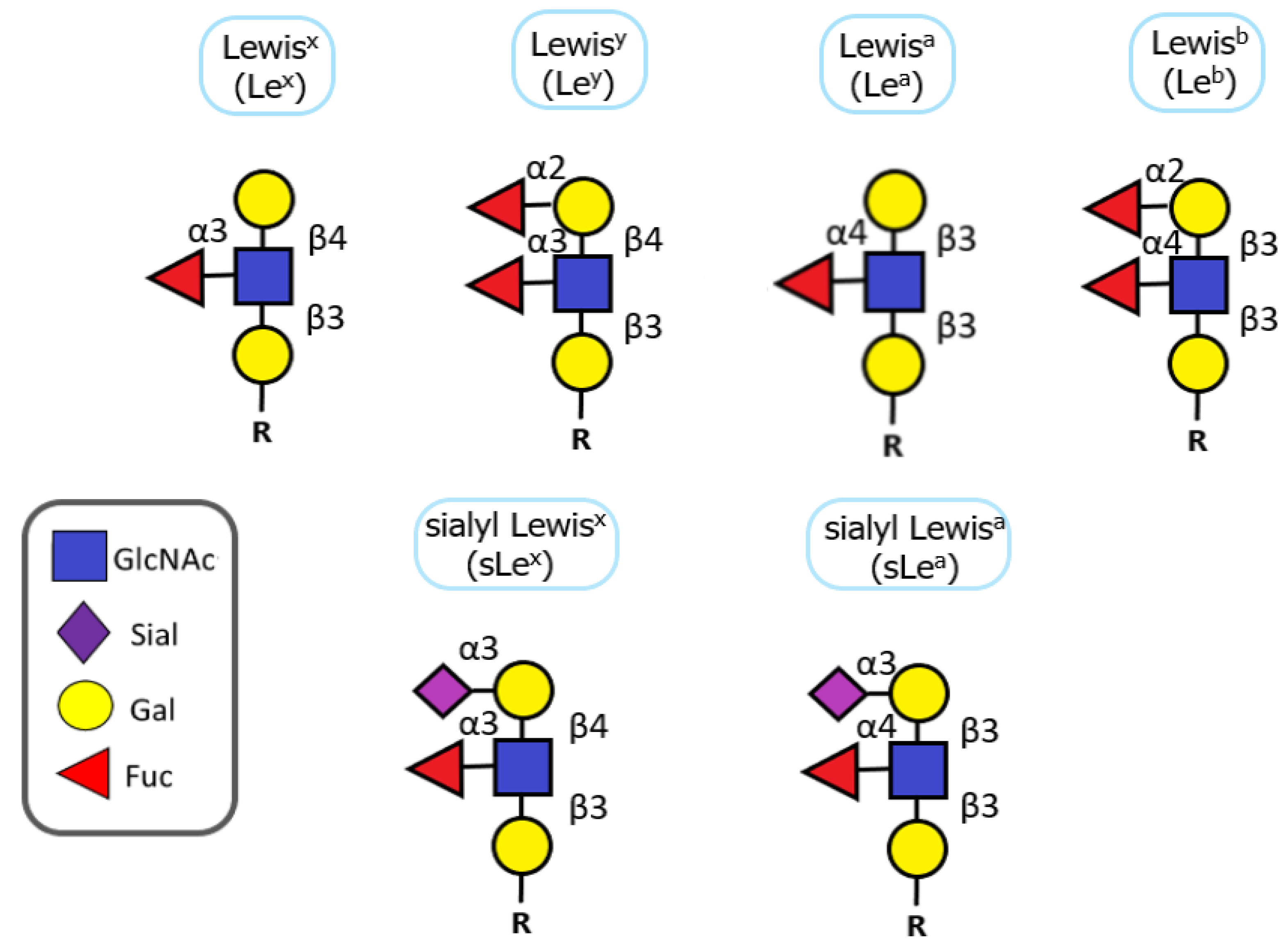 Molecules 28 03436 g006 Molecules 28 03436 g006