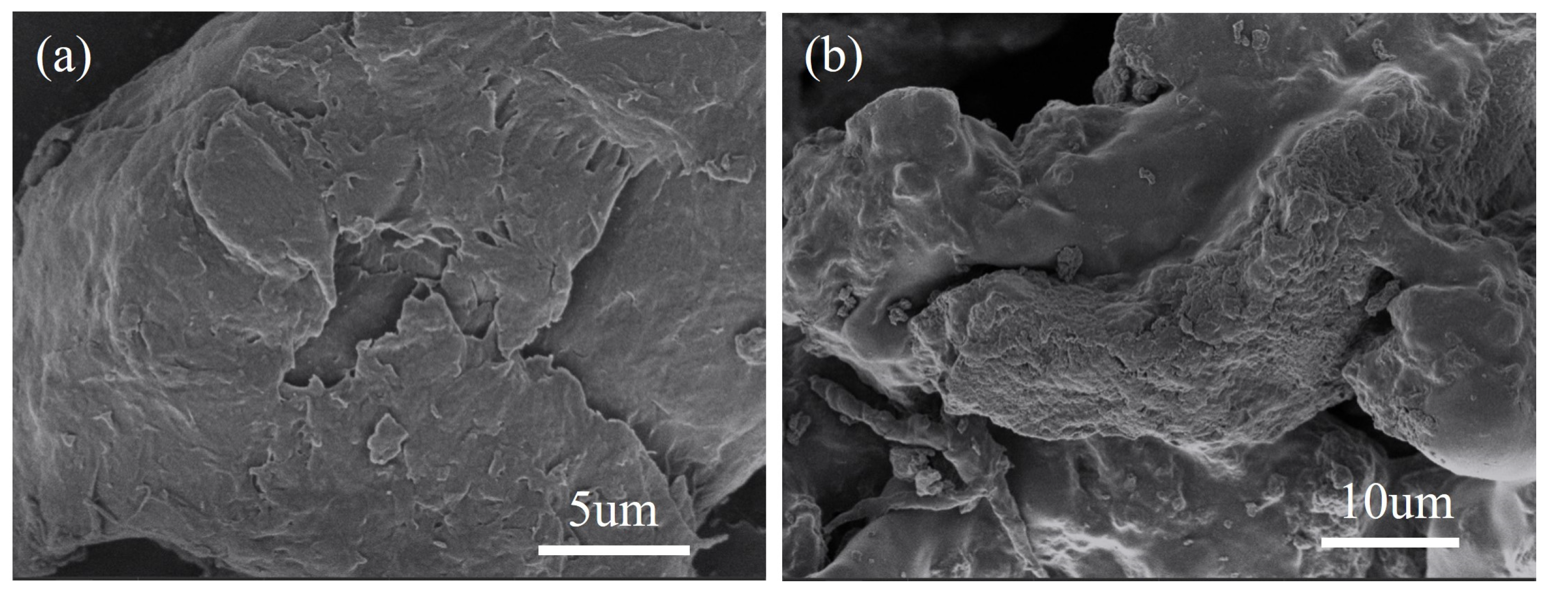 Molecules 28 03445 g001 Molecules 28 03445 g001